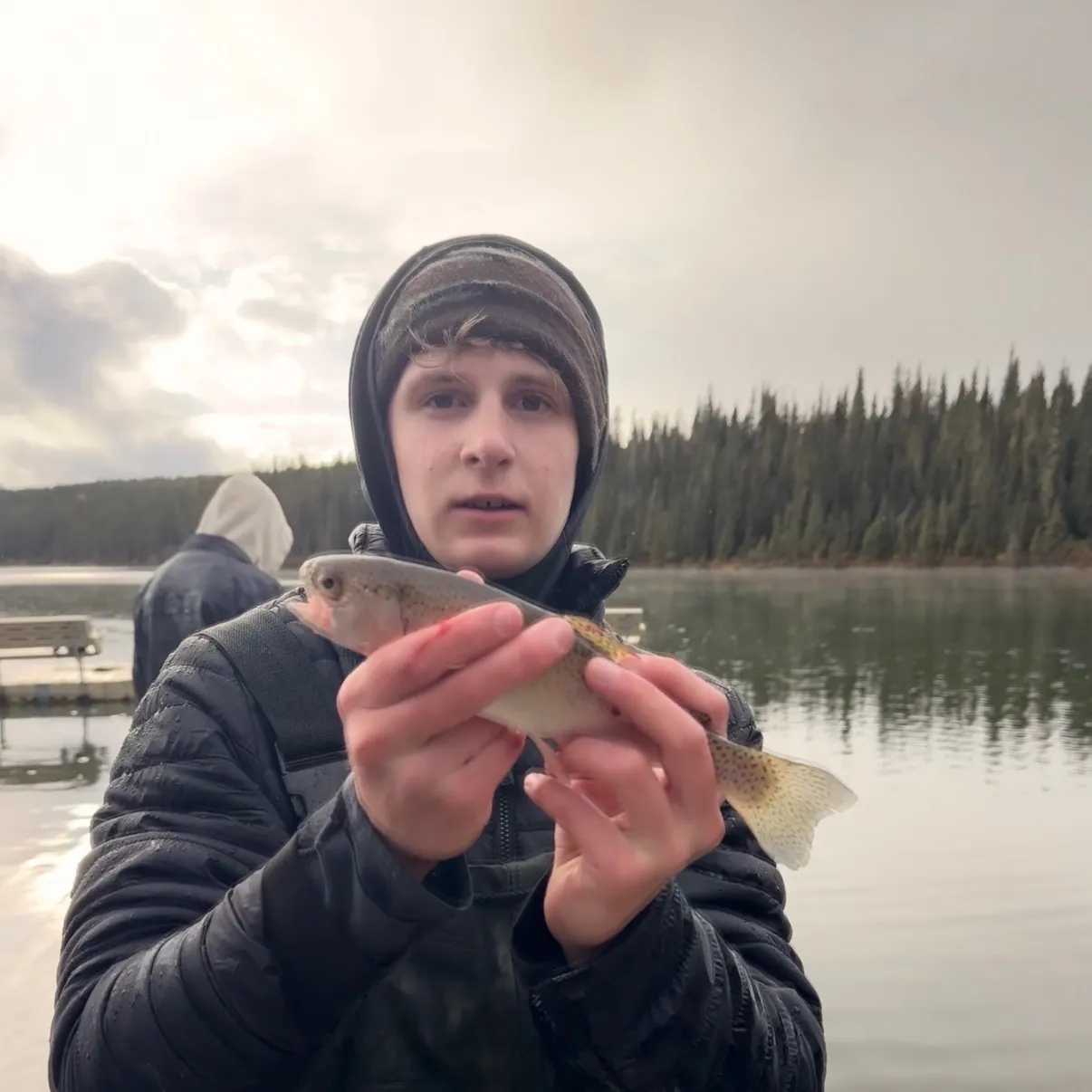Rainbow trout caught on Fishbrain