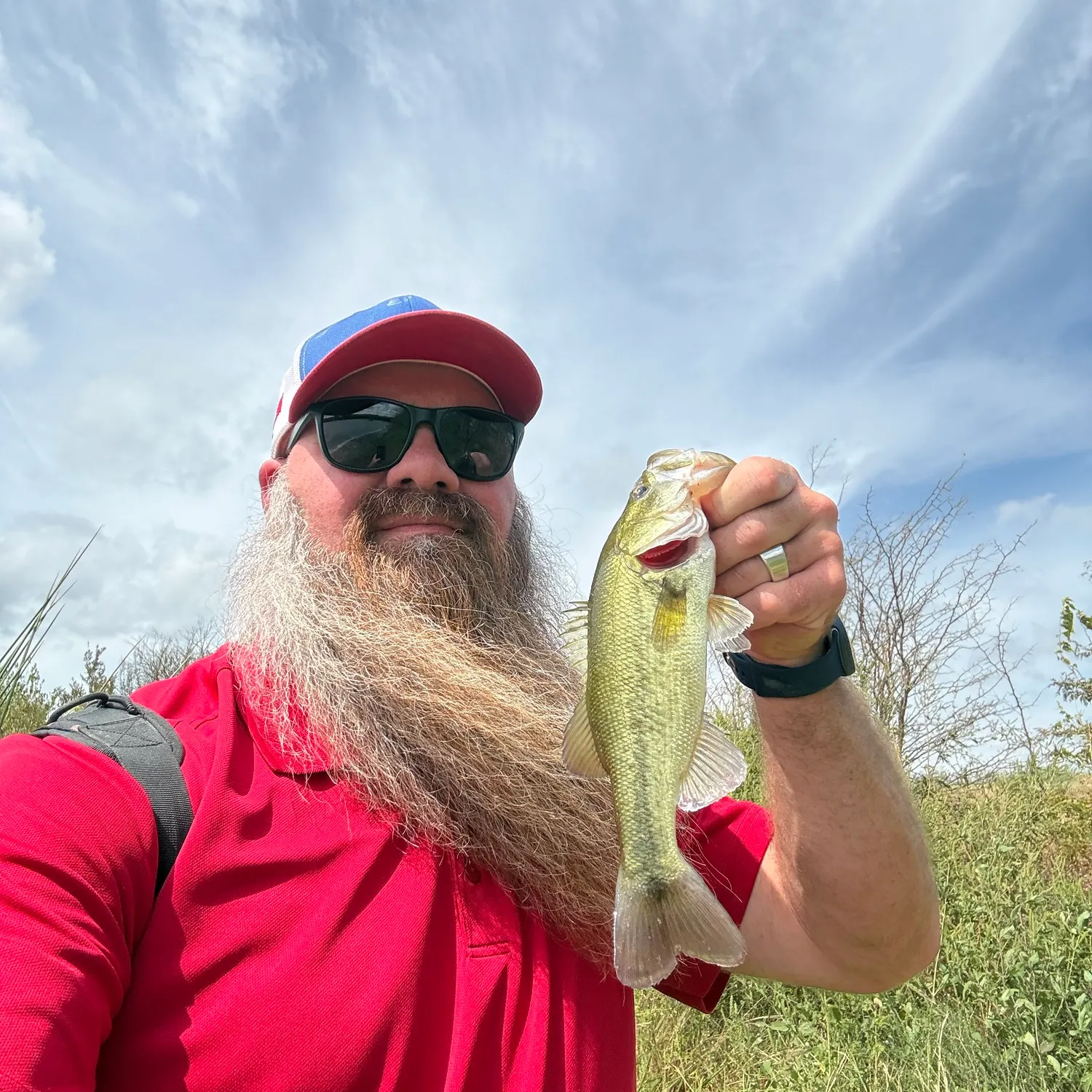 Largemouth bass caught on Fishbrain