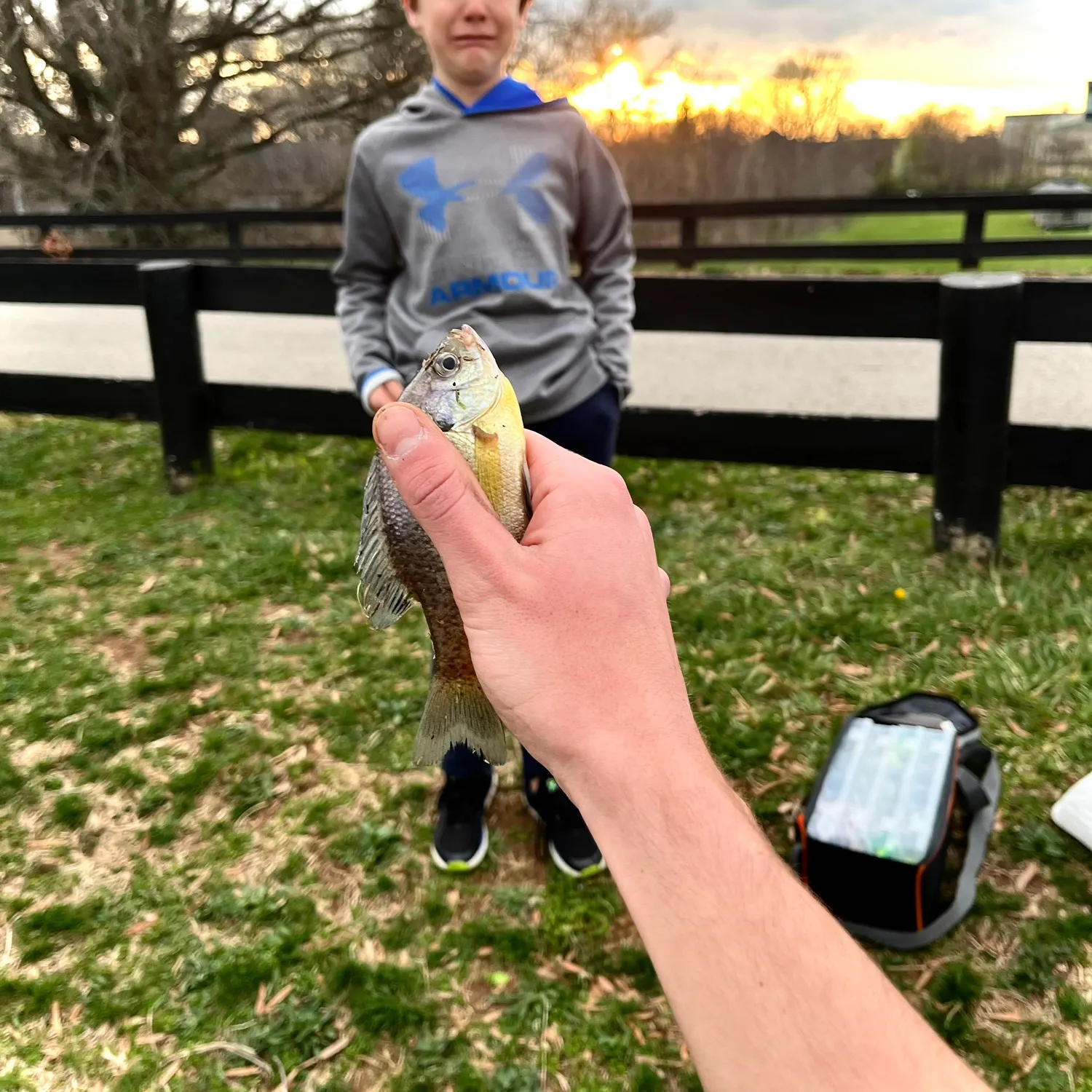 catch