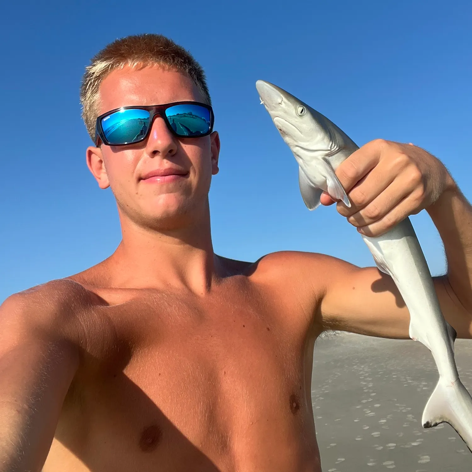 Atlantic sharpnose shark caught on Fishbrain