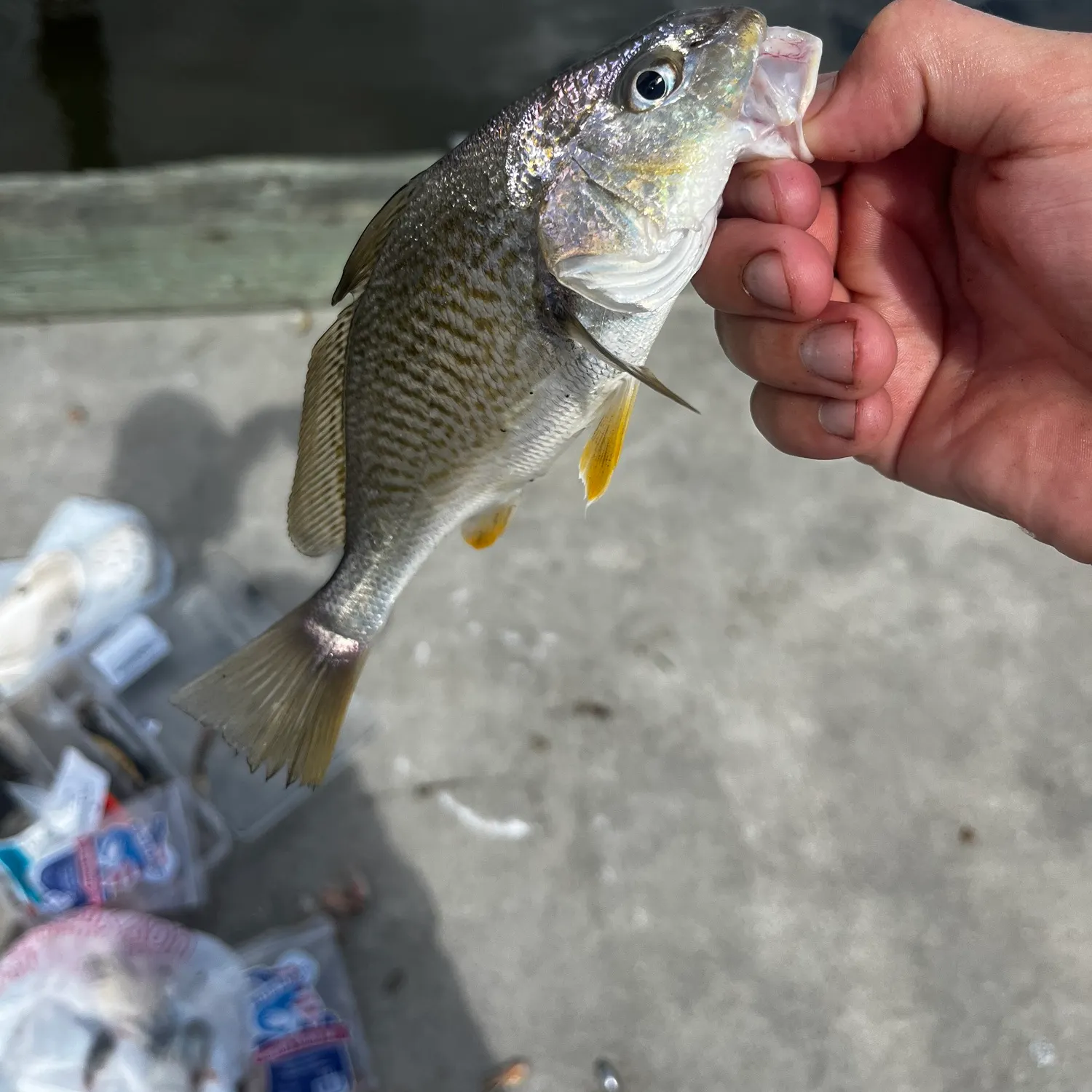 catch