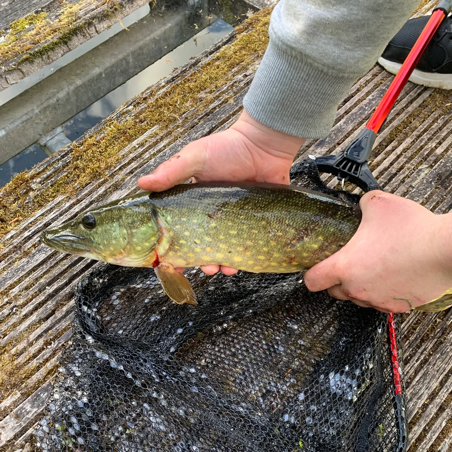 catch