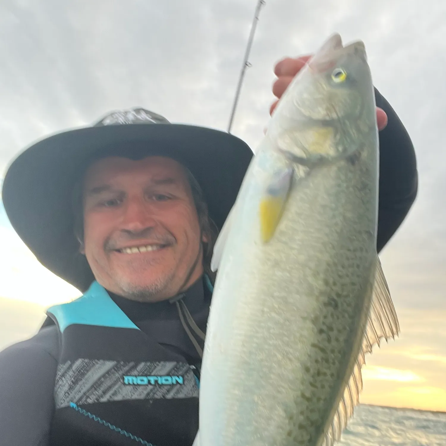 Eastern Australian salmon caught on Fishbrain