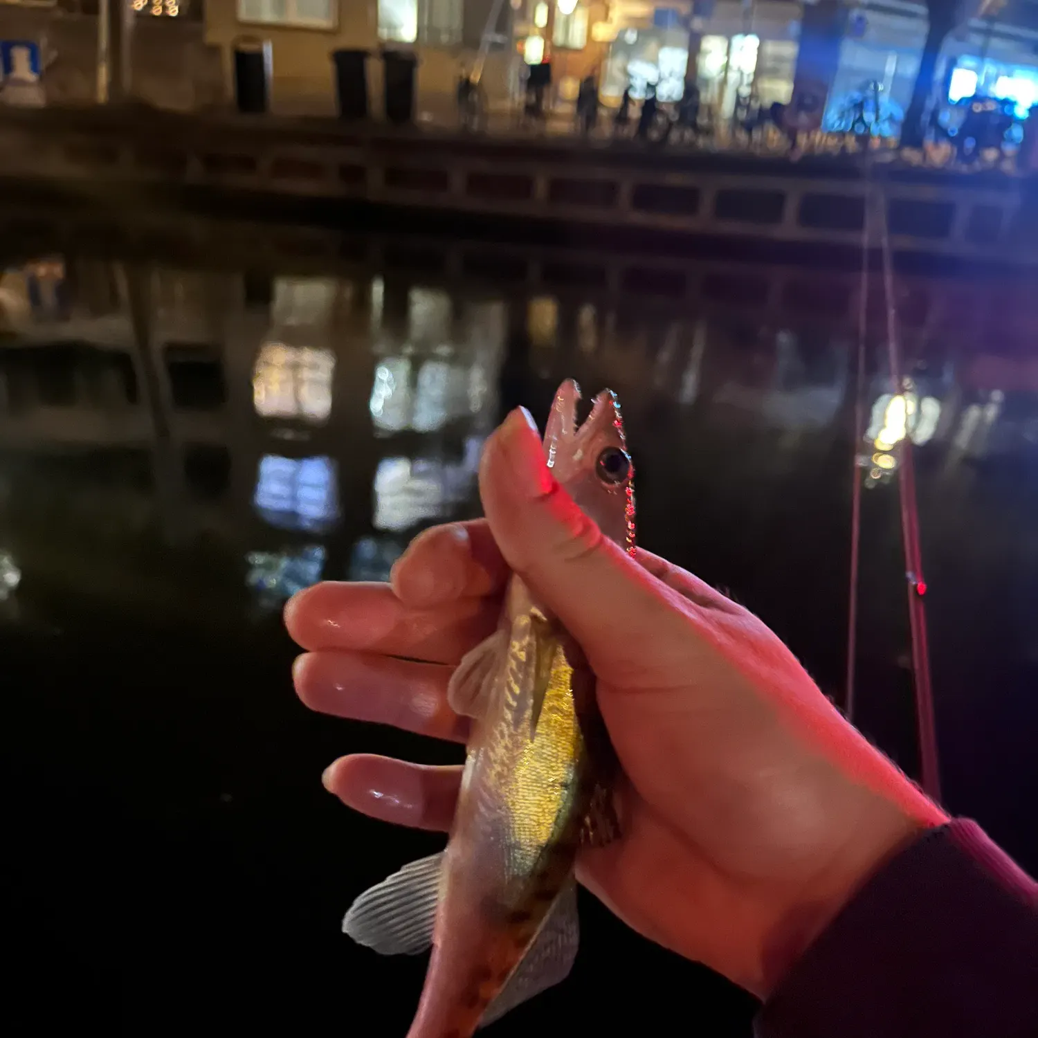 catch