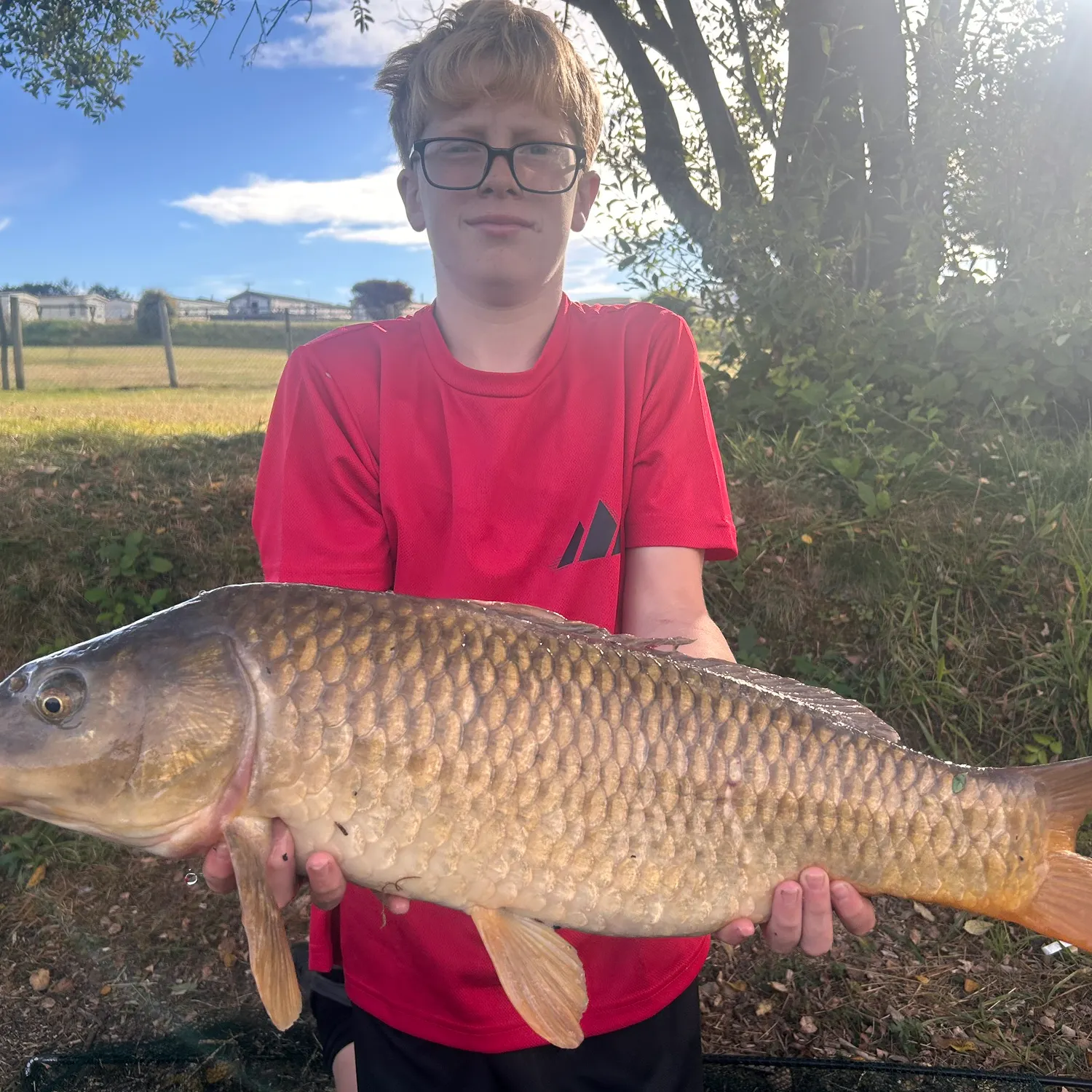Common carp caught on Fishbrain