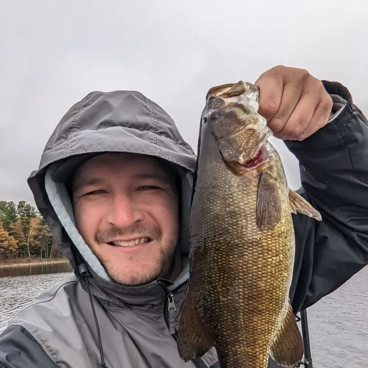 Smallmouth bass caught on Fishbrain