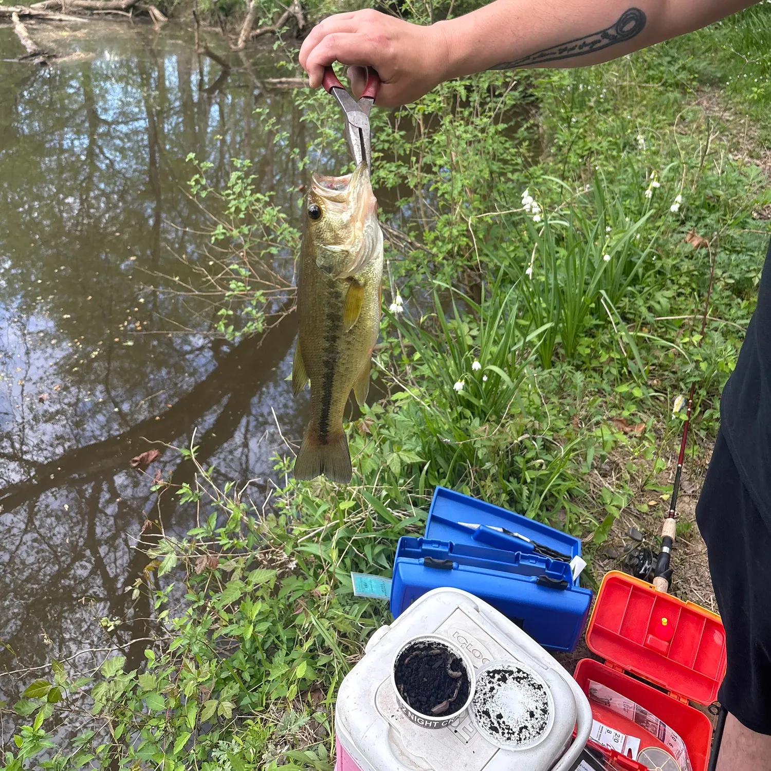 catch
