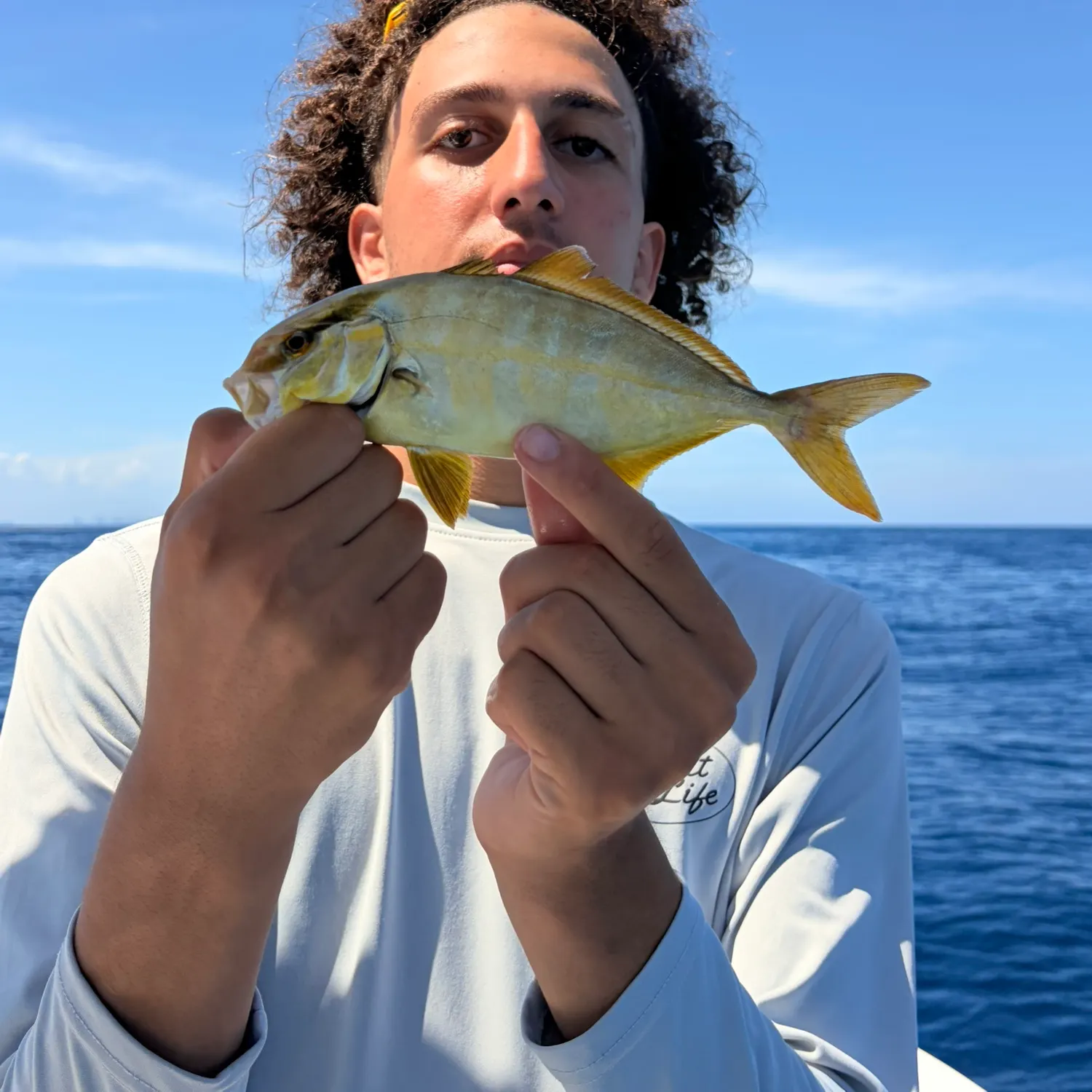 The most recent Almaco jack catches on Fishbrain