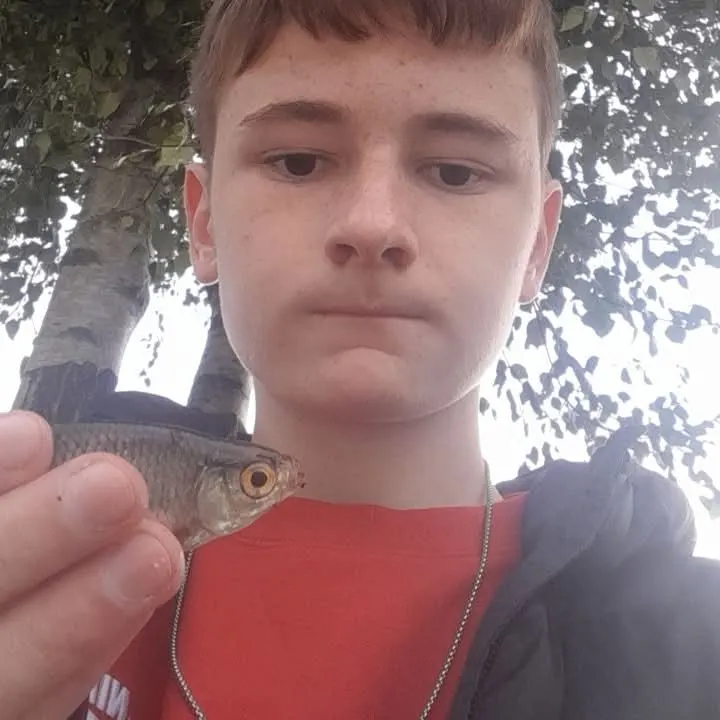 Common roach caught on Fishbrain