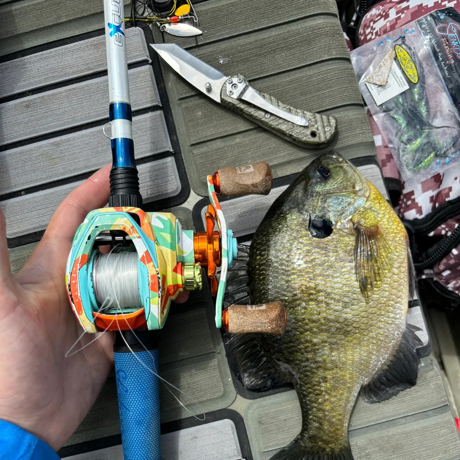 recently logged catches