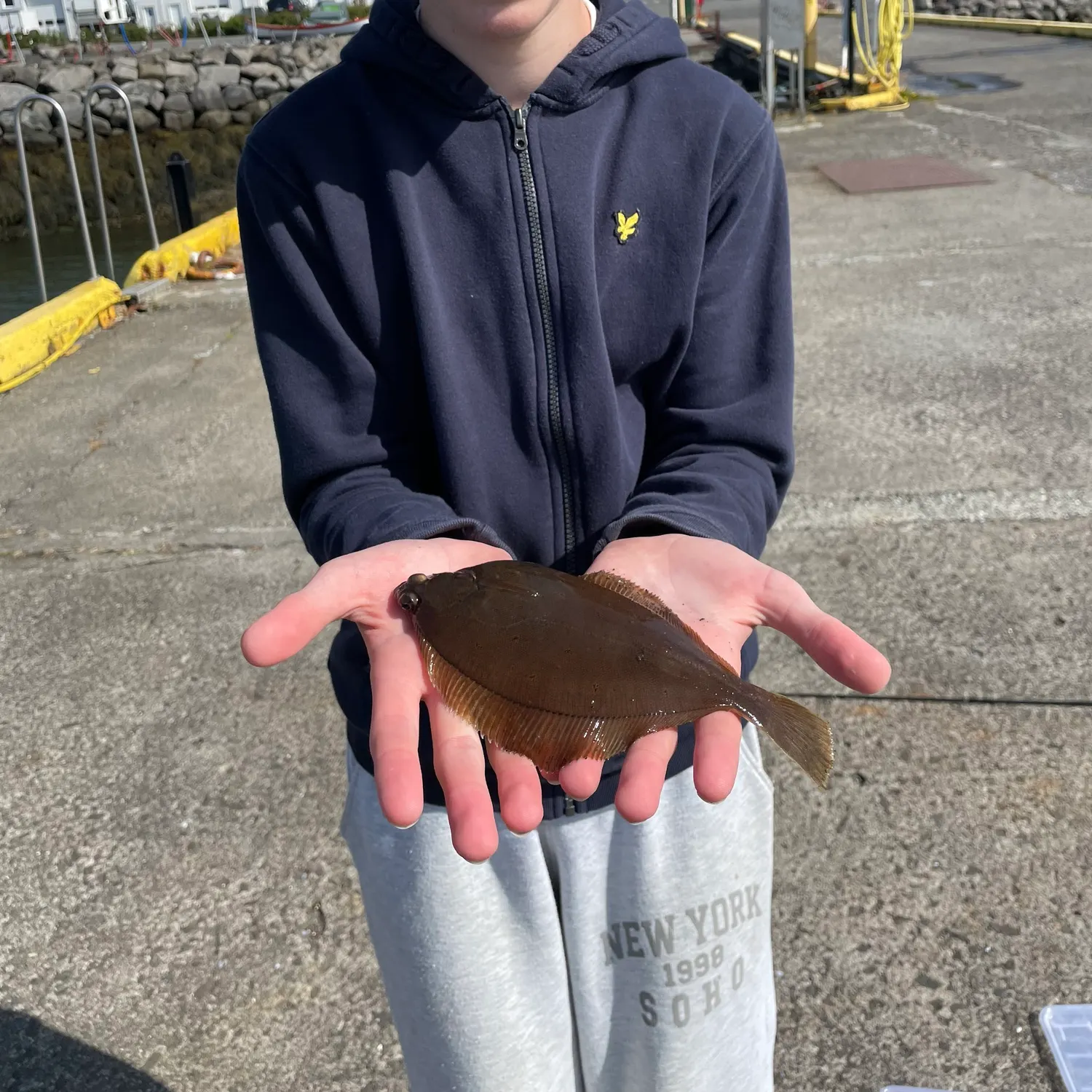 European flounder caught on Fishbrain