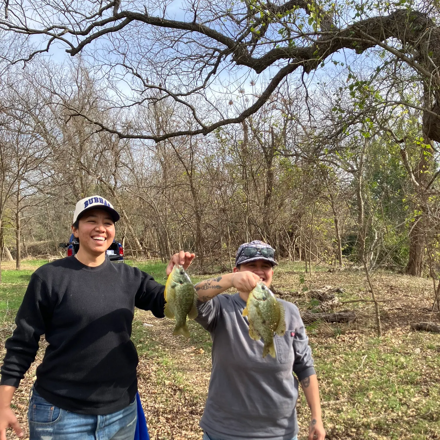 The most recent Redear sunfish catches on Fishbrain