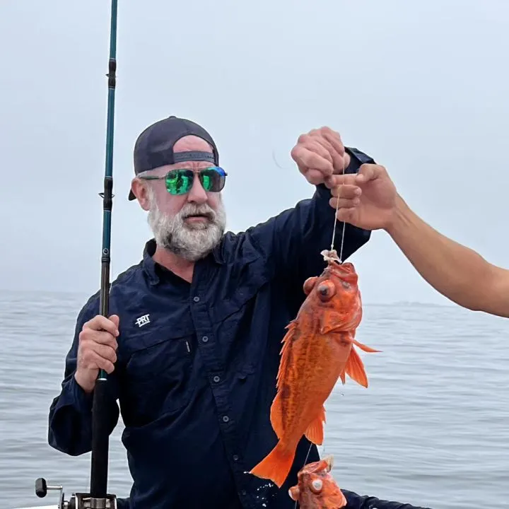 The most recent Vermilion rockfish catches on Fishbrain
