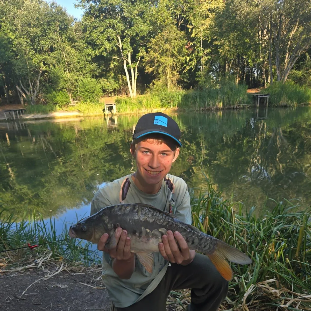 Mirror carp caught on Fishbrain