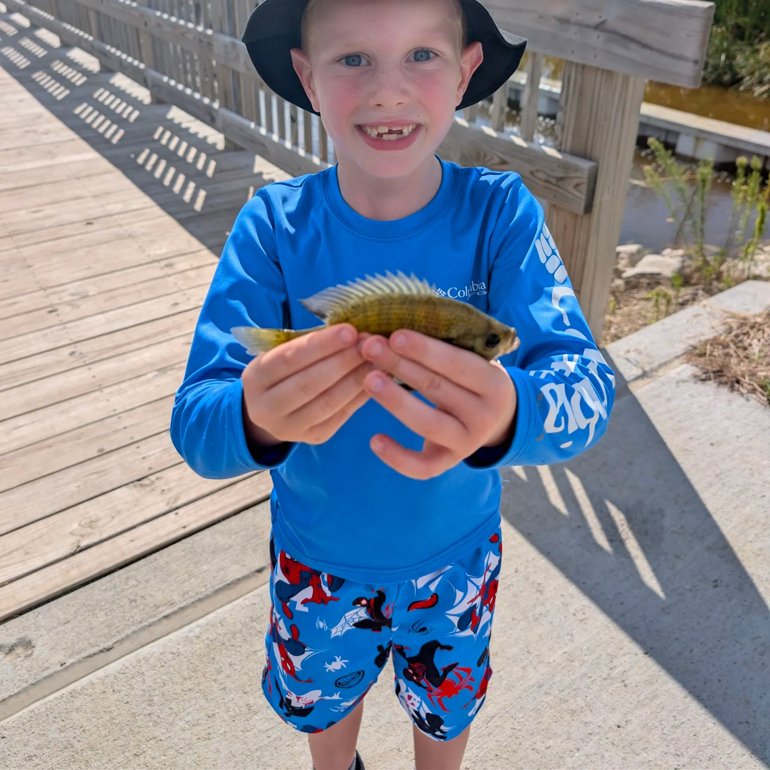 Bluegill caught on Fishbrain