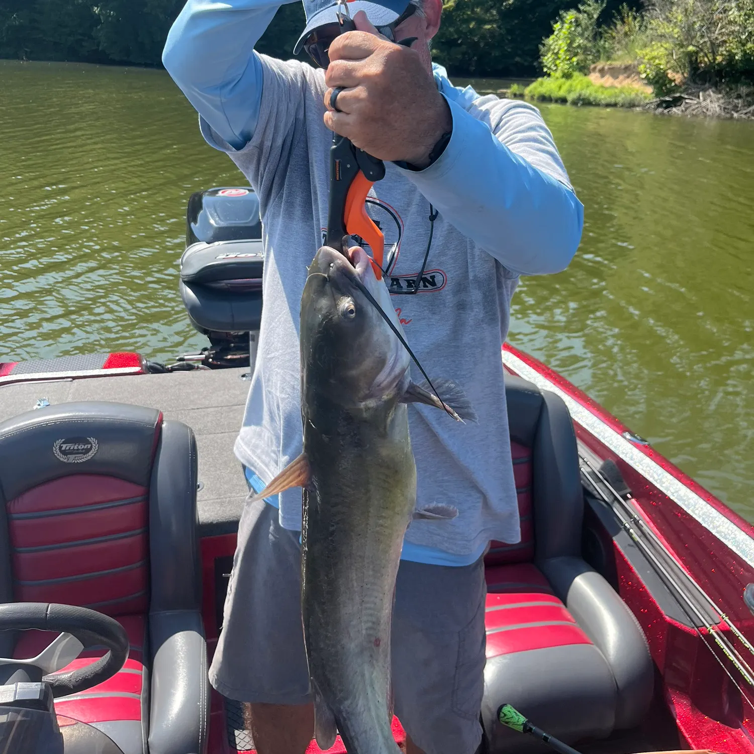 Channel catfish caught on Fishbrain