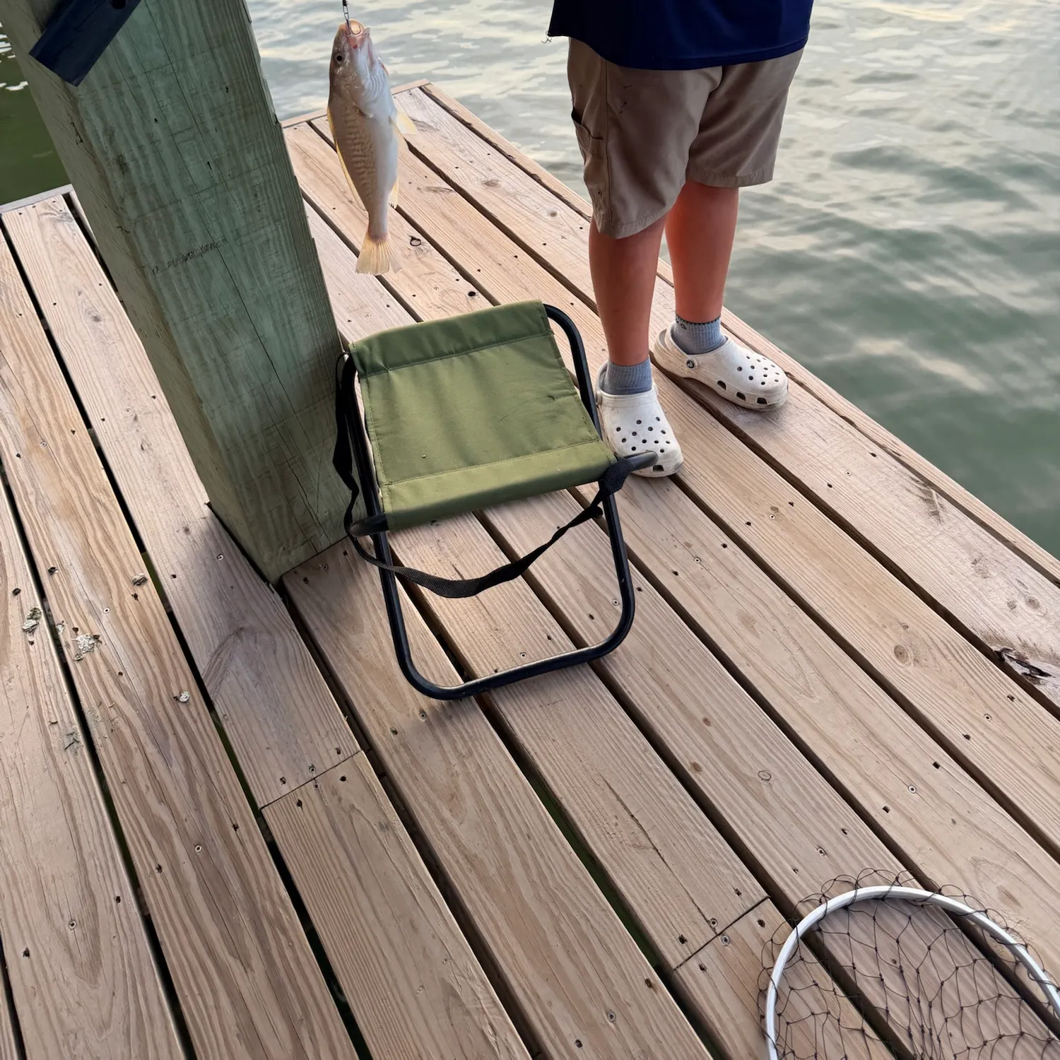 The most recent Gray redhorse catches on Fishbrain