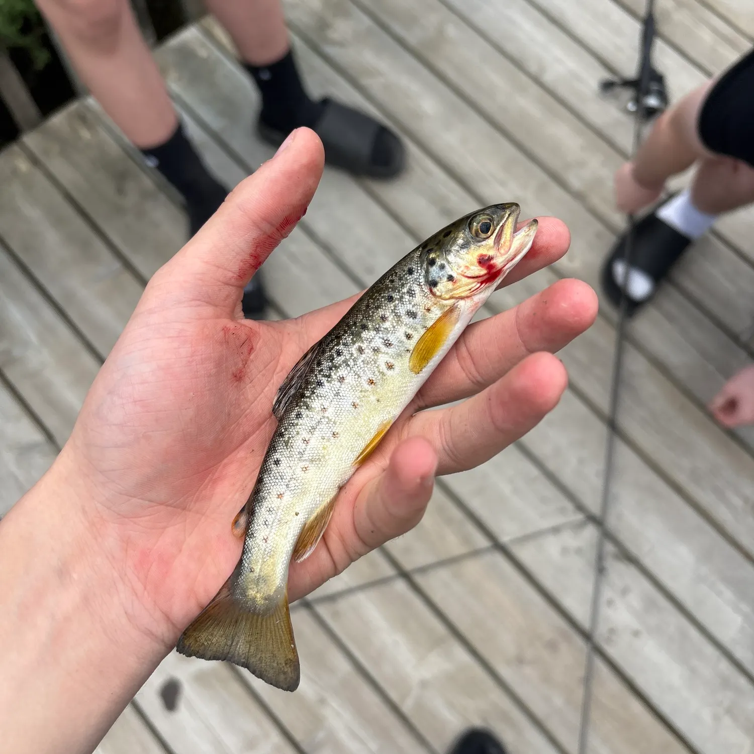 catch