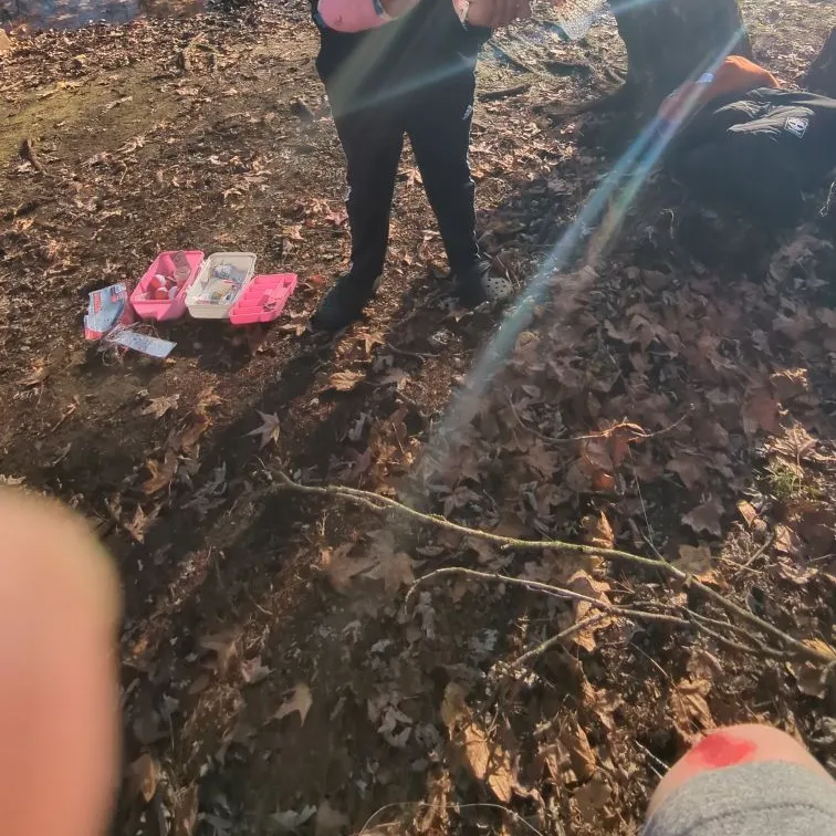 The most recent White crappie catches on Fishbrain