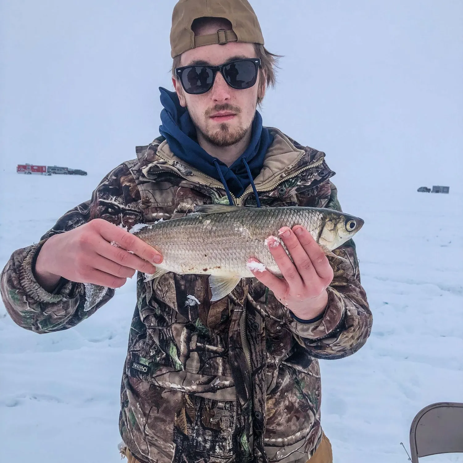 The most recent Northern cisco catches on Fishbrain