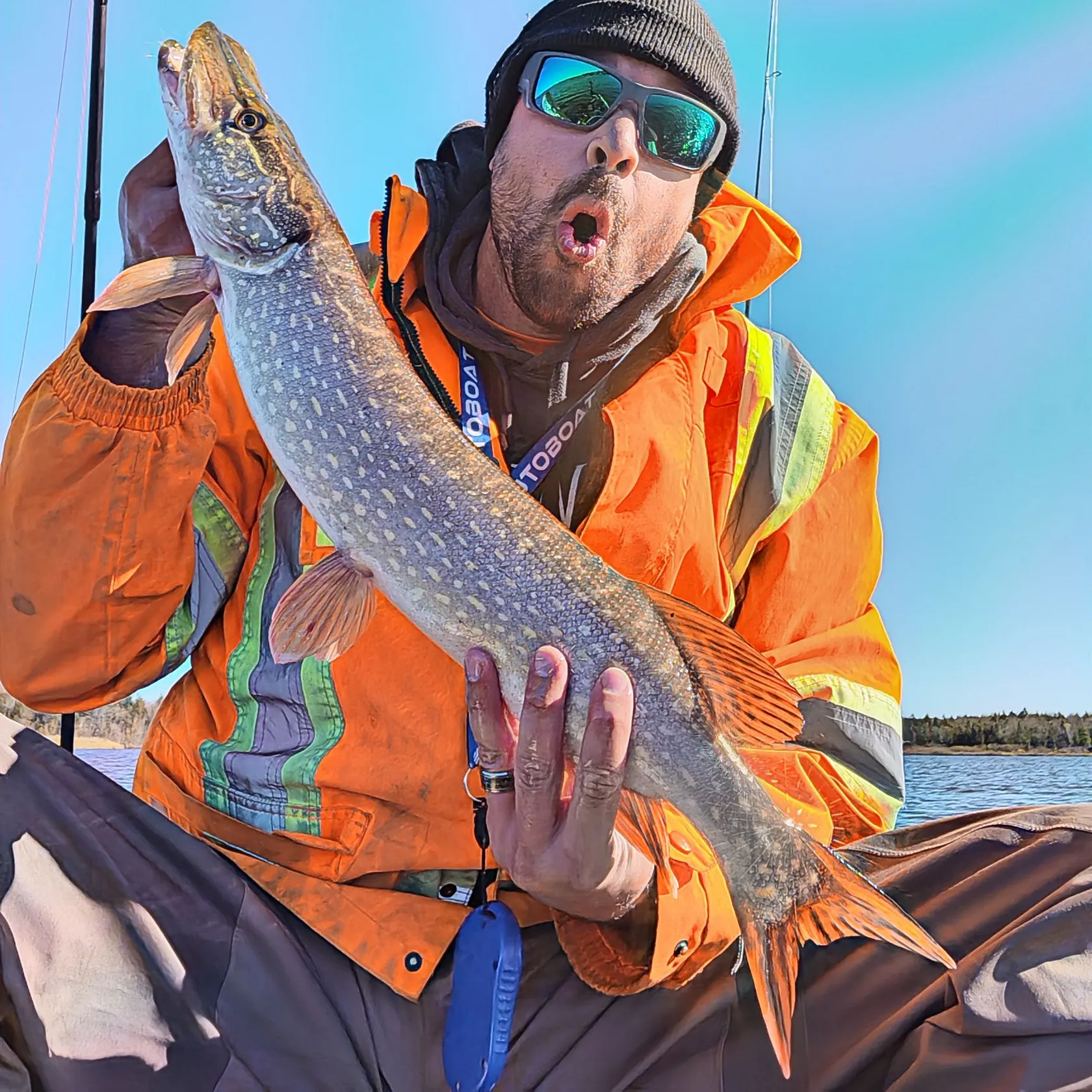 Northern pike caught on Fishbrain