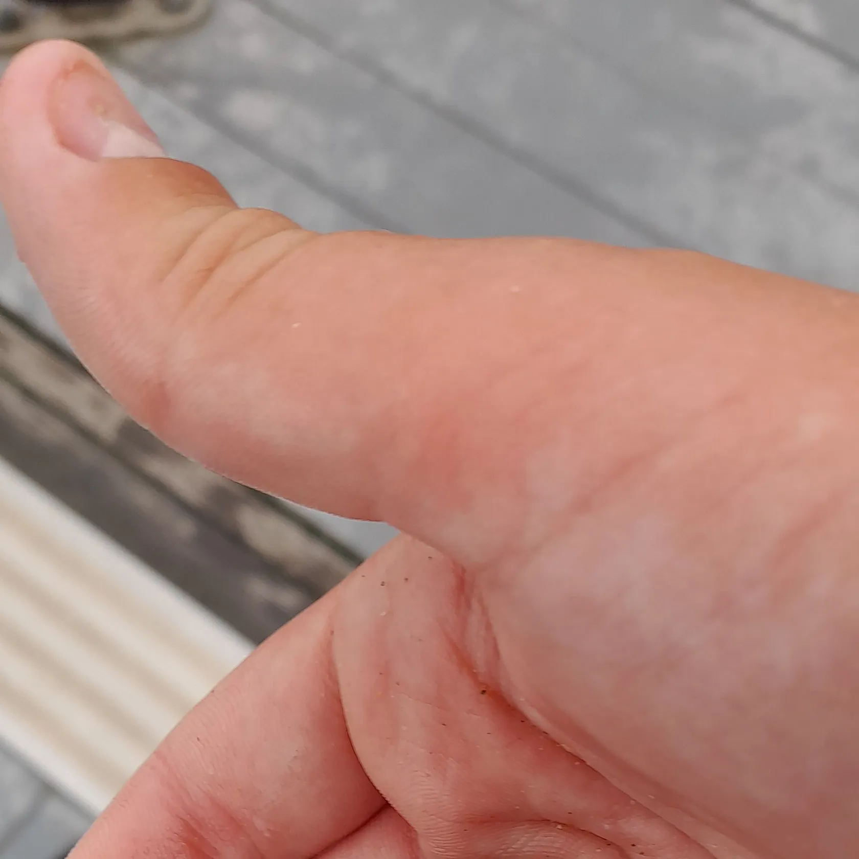 The most recent Fivebeard rockling catches on Fishbrain