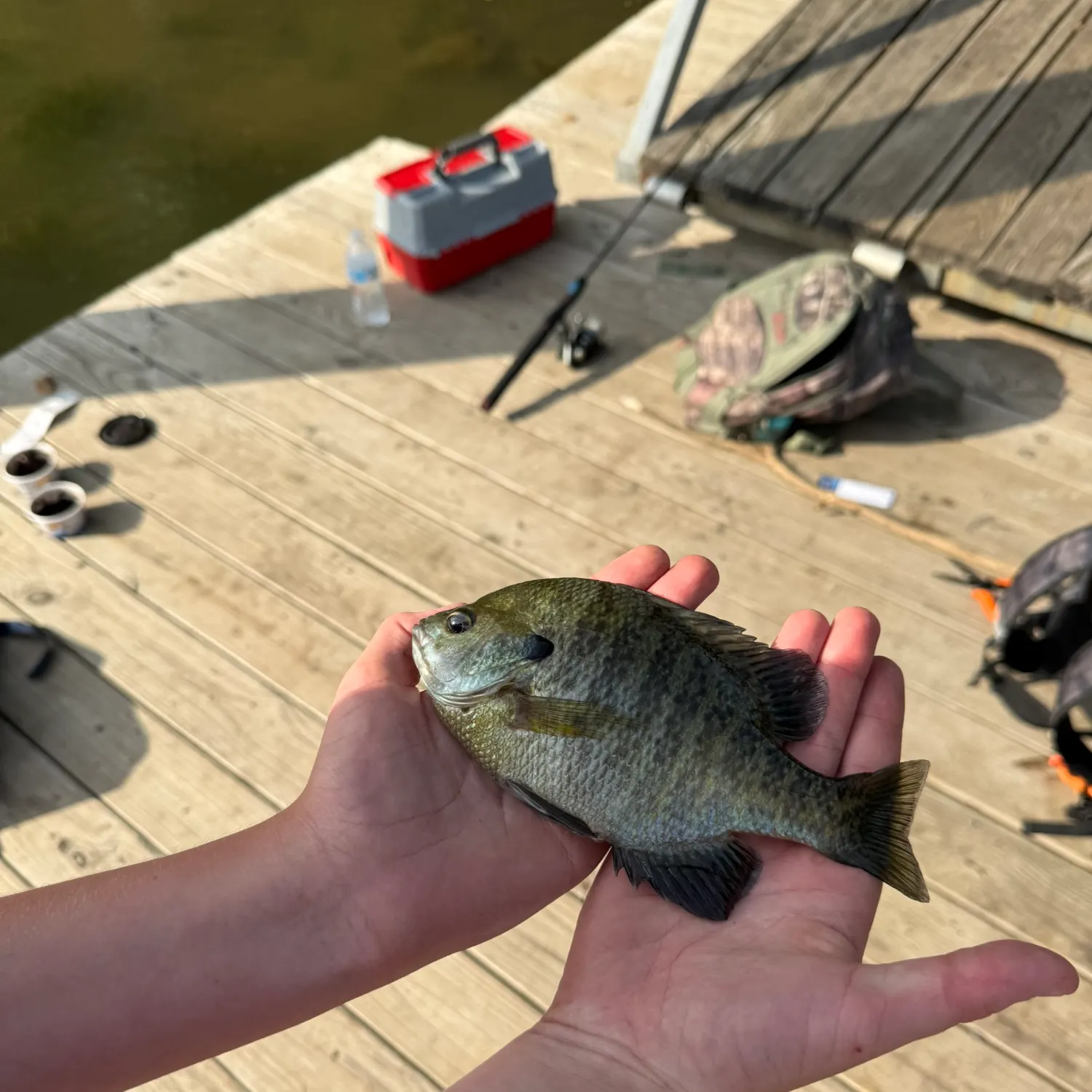 catch