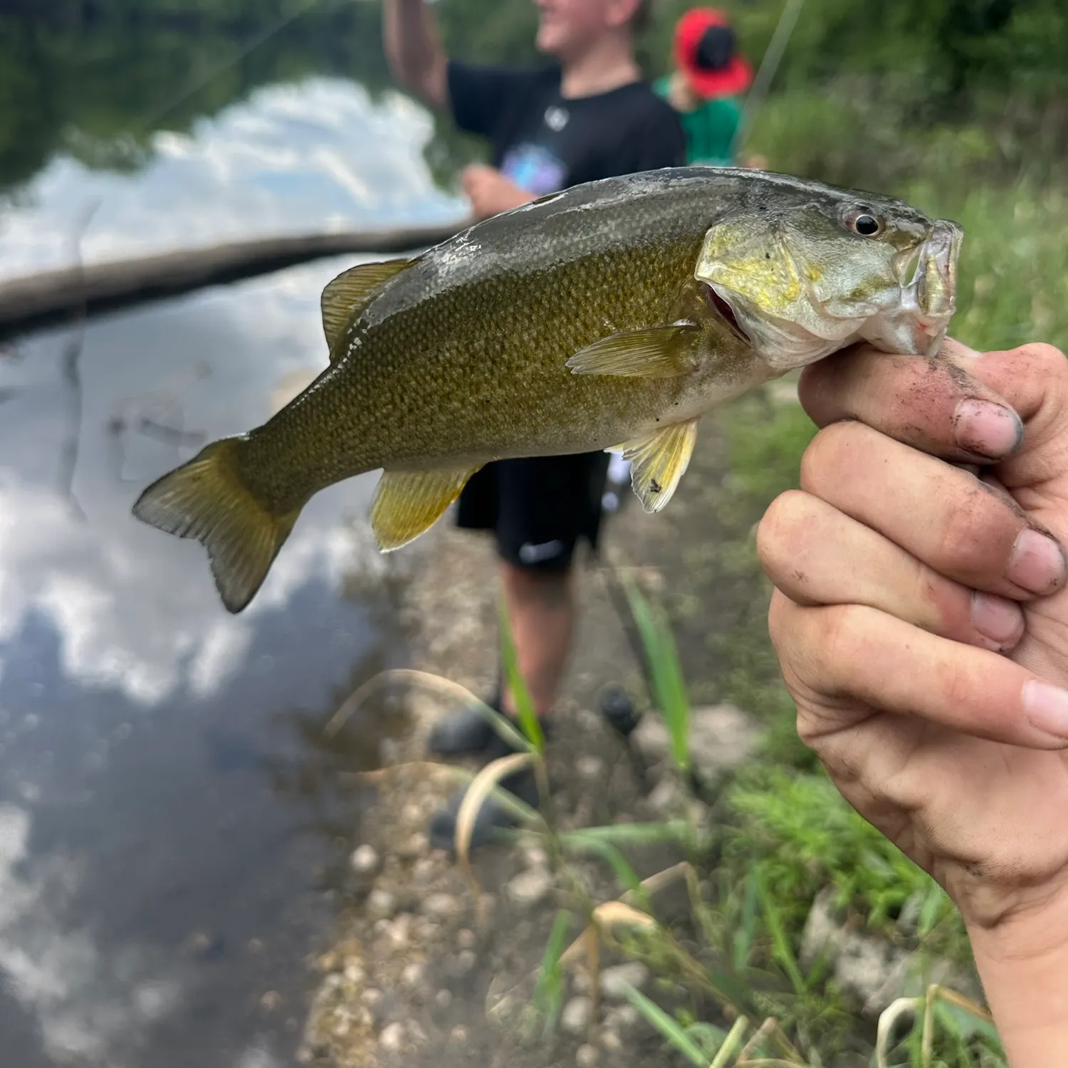 catch