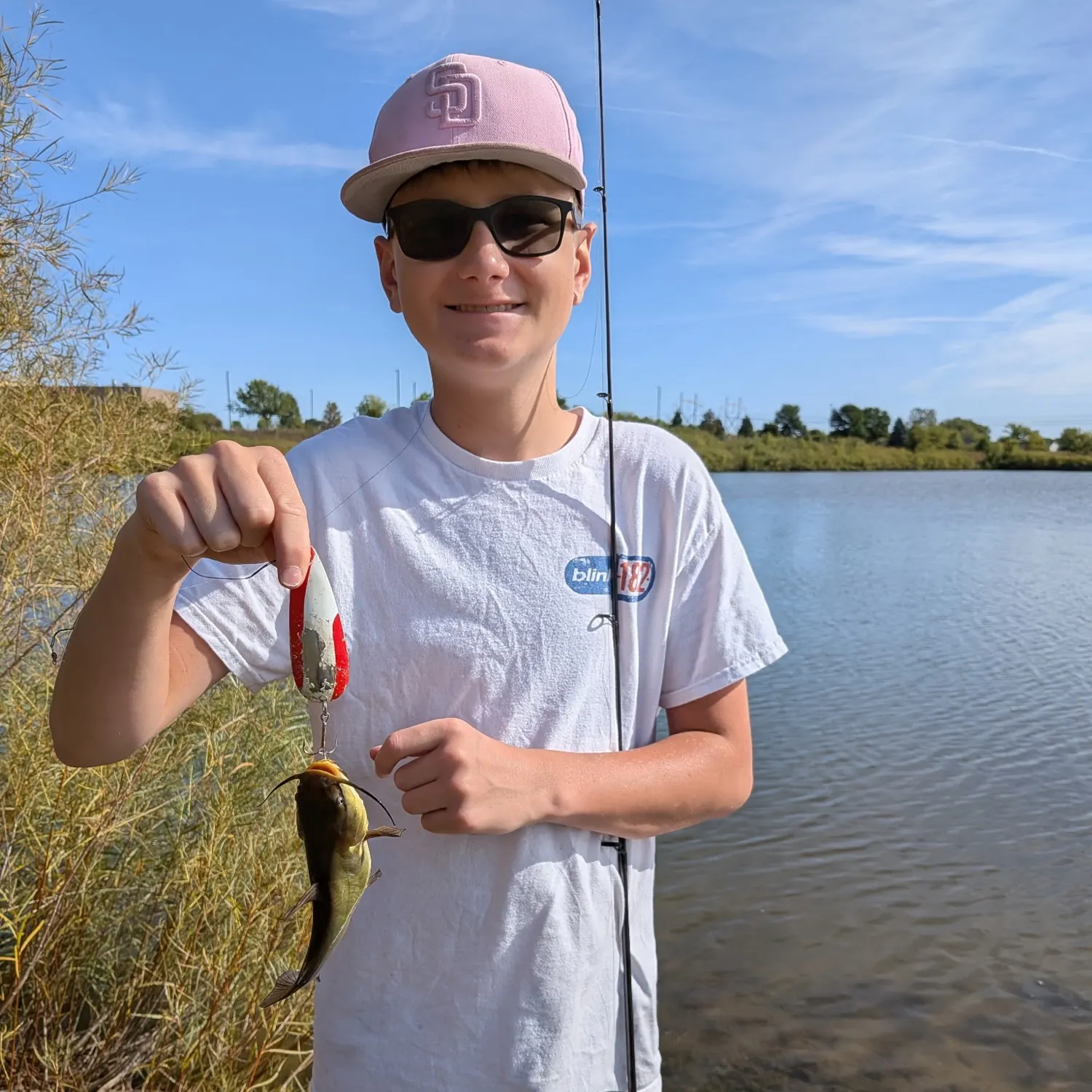 Black bullhead caught on Fishbrain