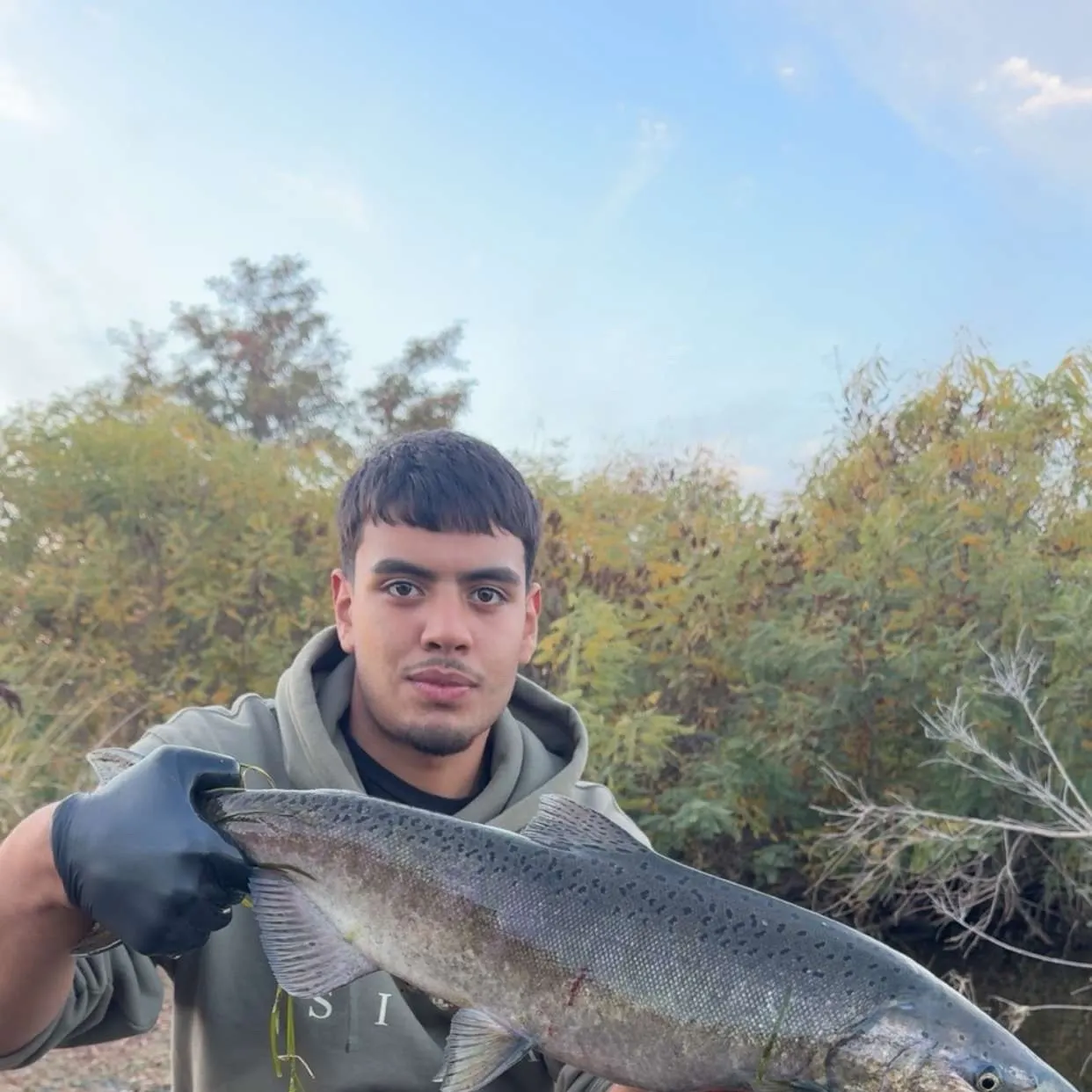 Chinook salmon caught on Fishbrain