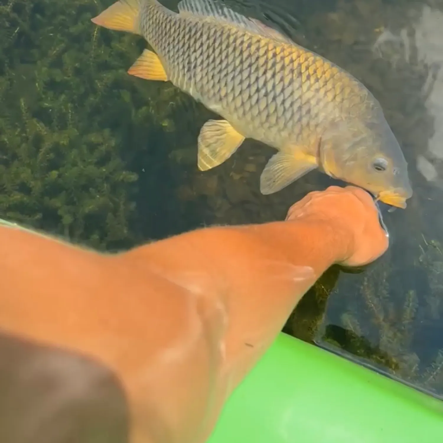 catch