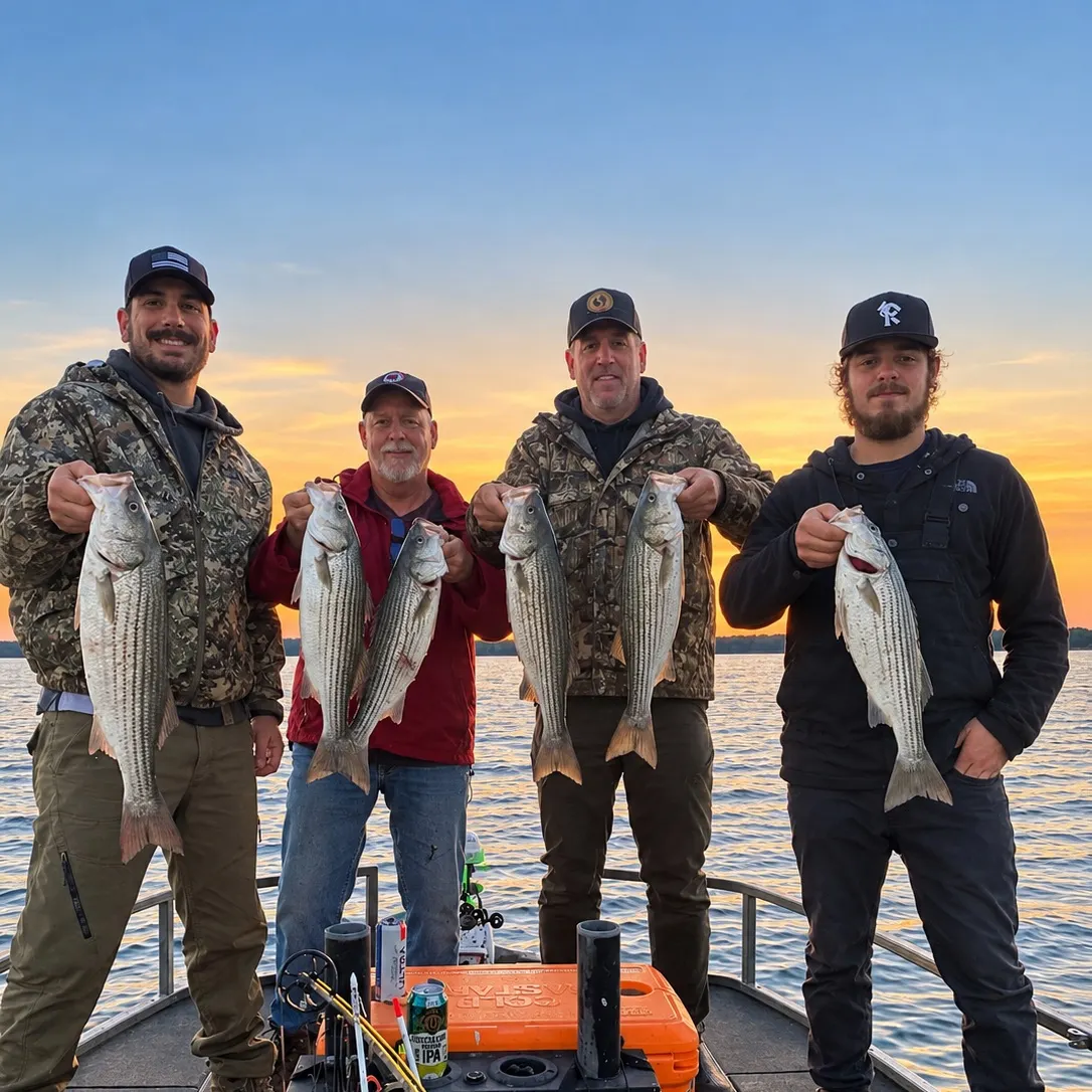 Striped bass caught on Fishbrain