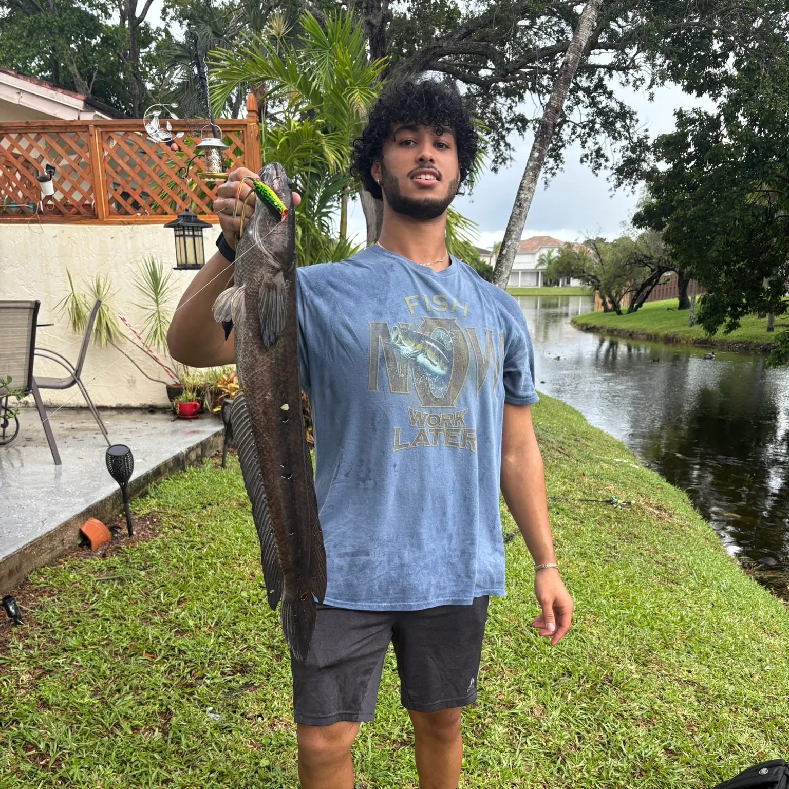 The most recent Bullseye snakehead catches on Fishbrain