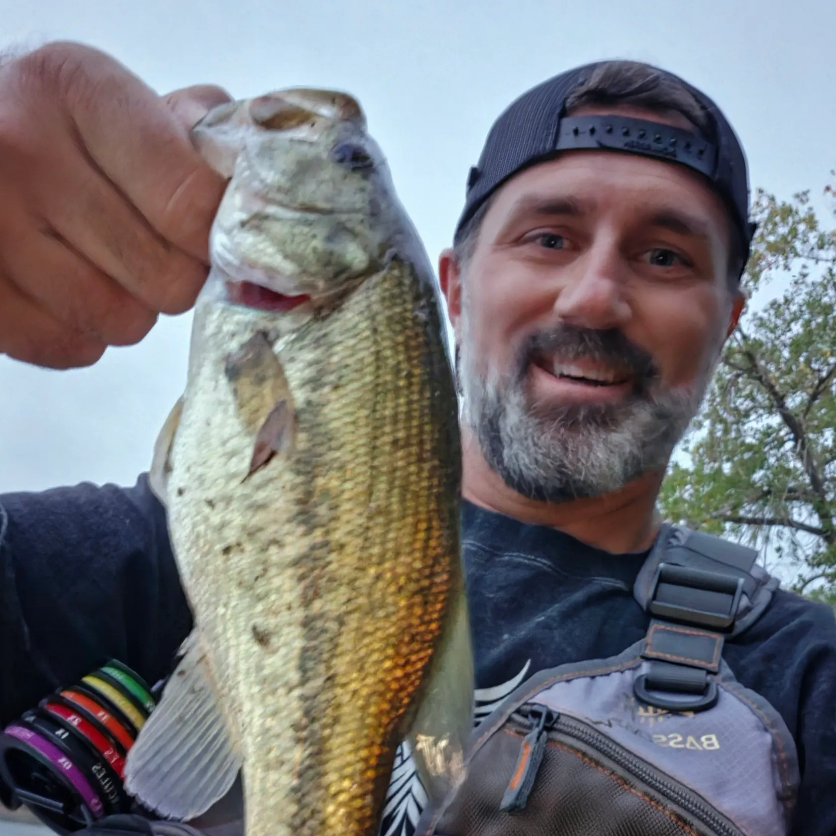 Fish caught on Fishbrain