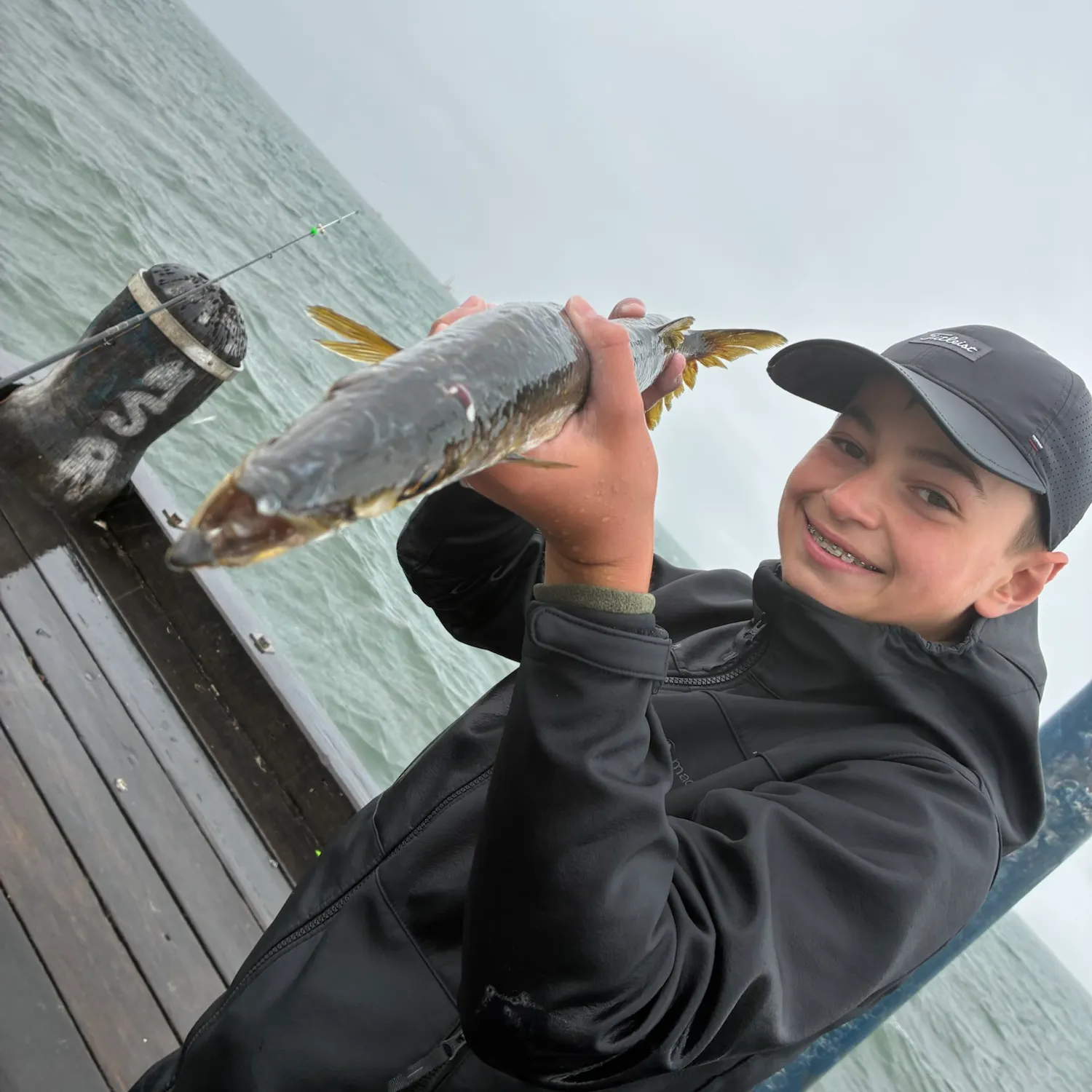 Australian barracuda caught on Fishbrain