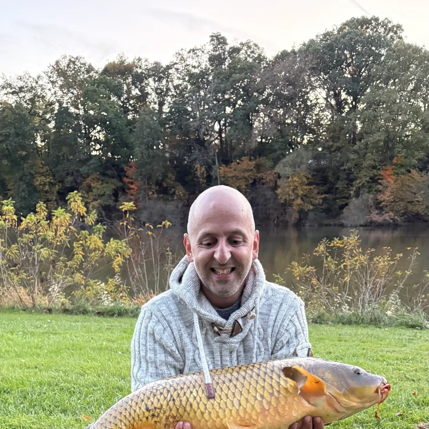 Common carp caught on Fishbrain