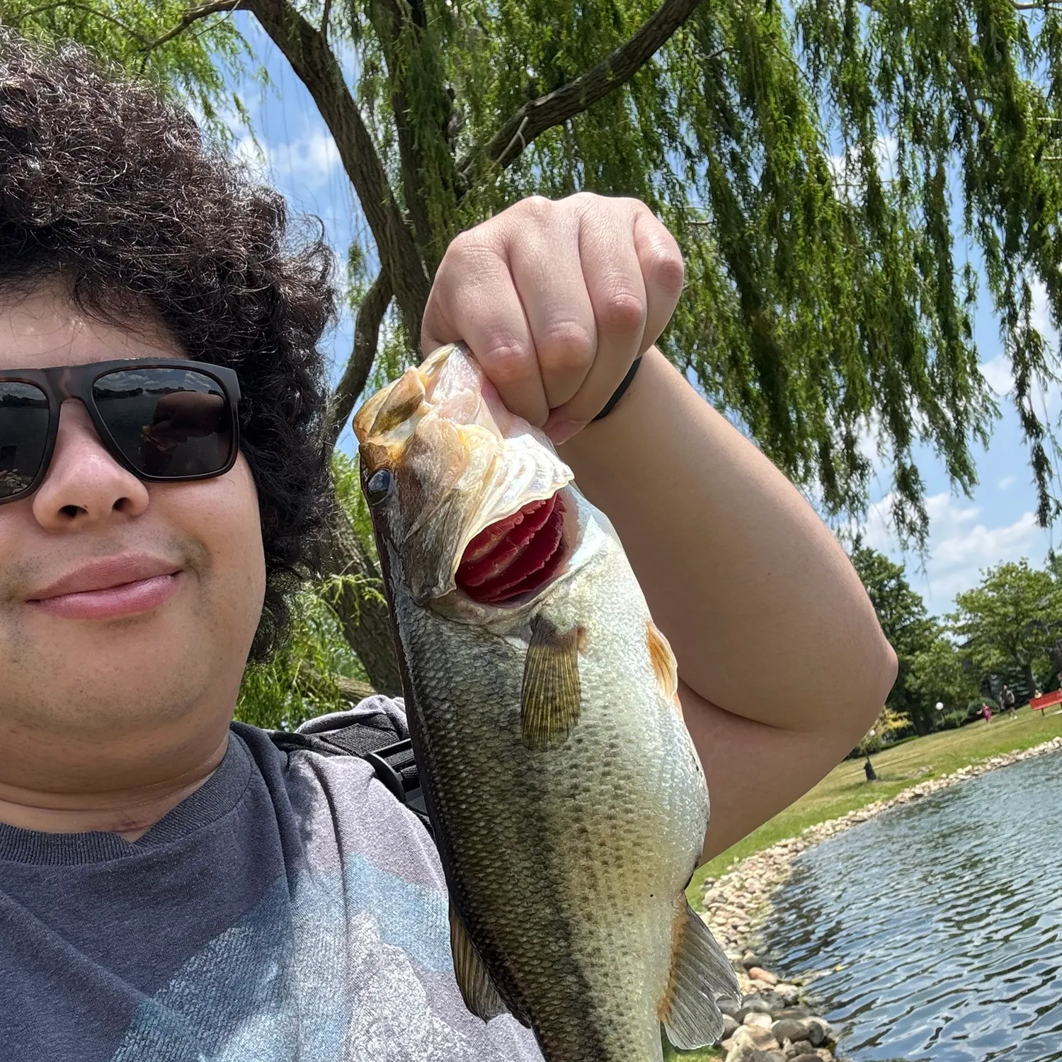angler catch