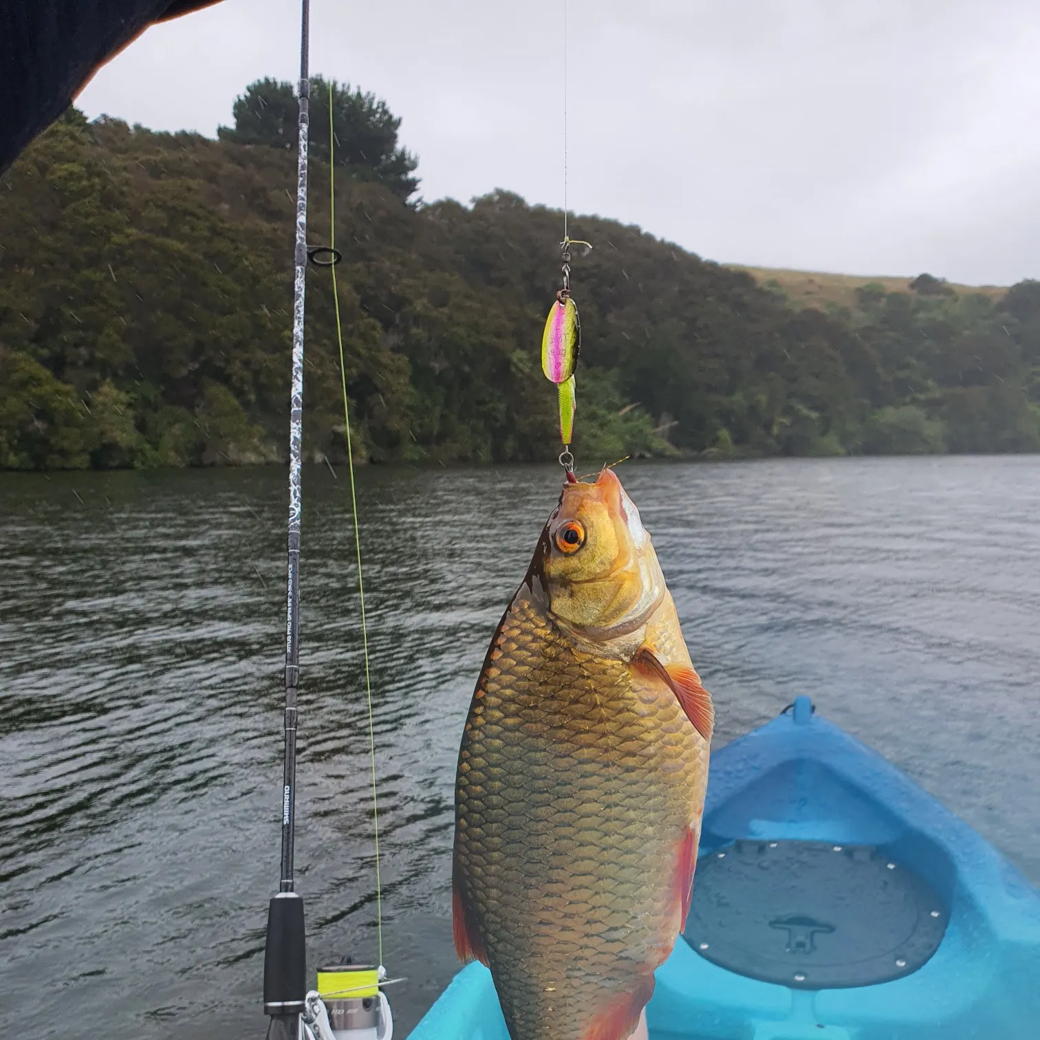 recently logged catches