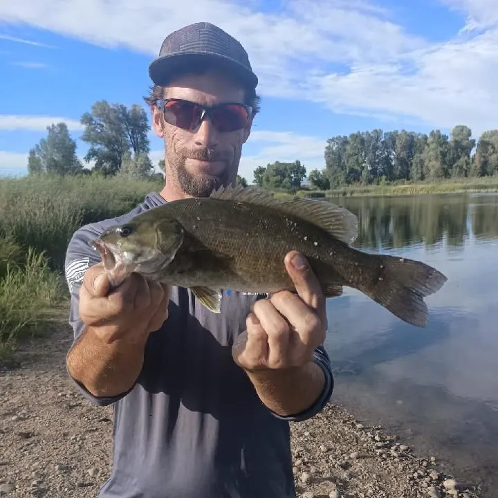 Smallmouth bass caught on Fishbrain