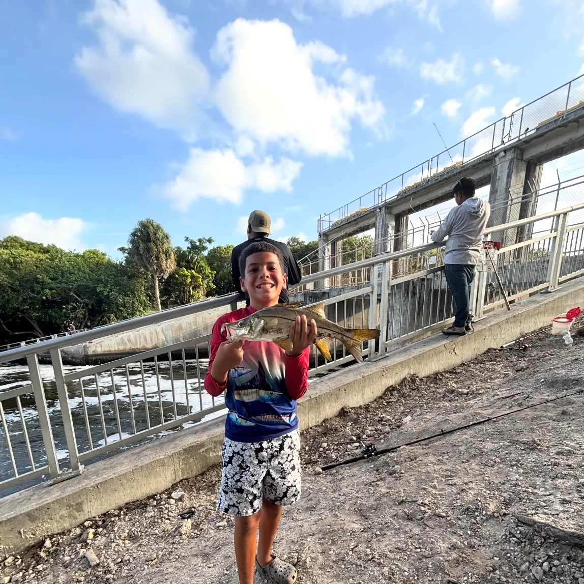 The most recent Fat snook catches on Fishbrain