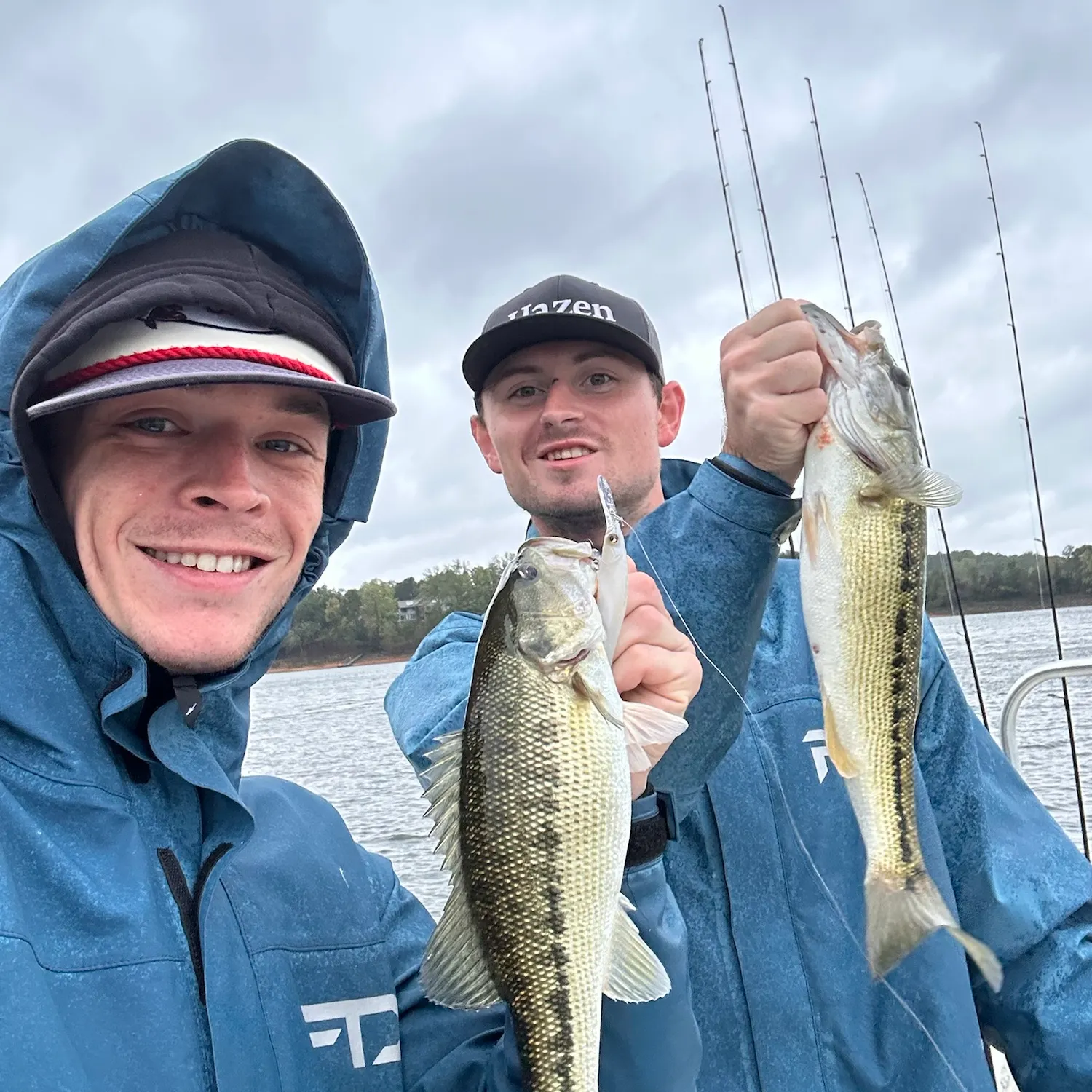 Spotted bass caught on Fishbrain