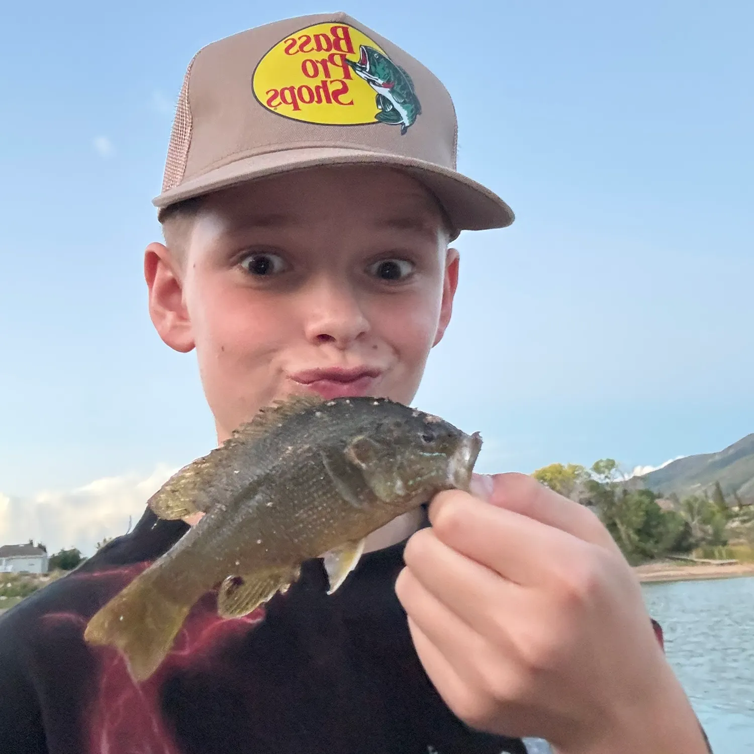 Green sunfish caught on Fishbrain