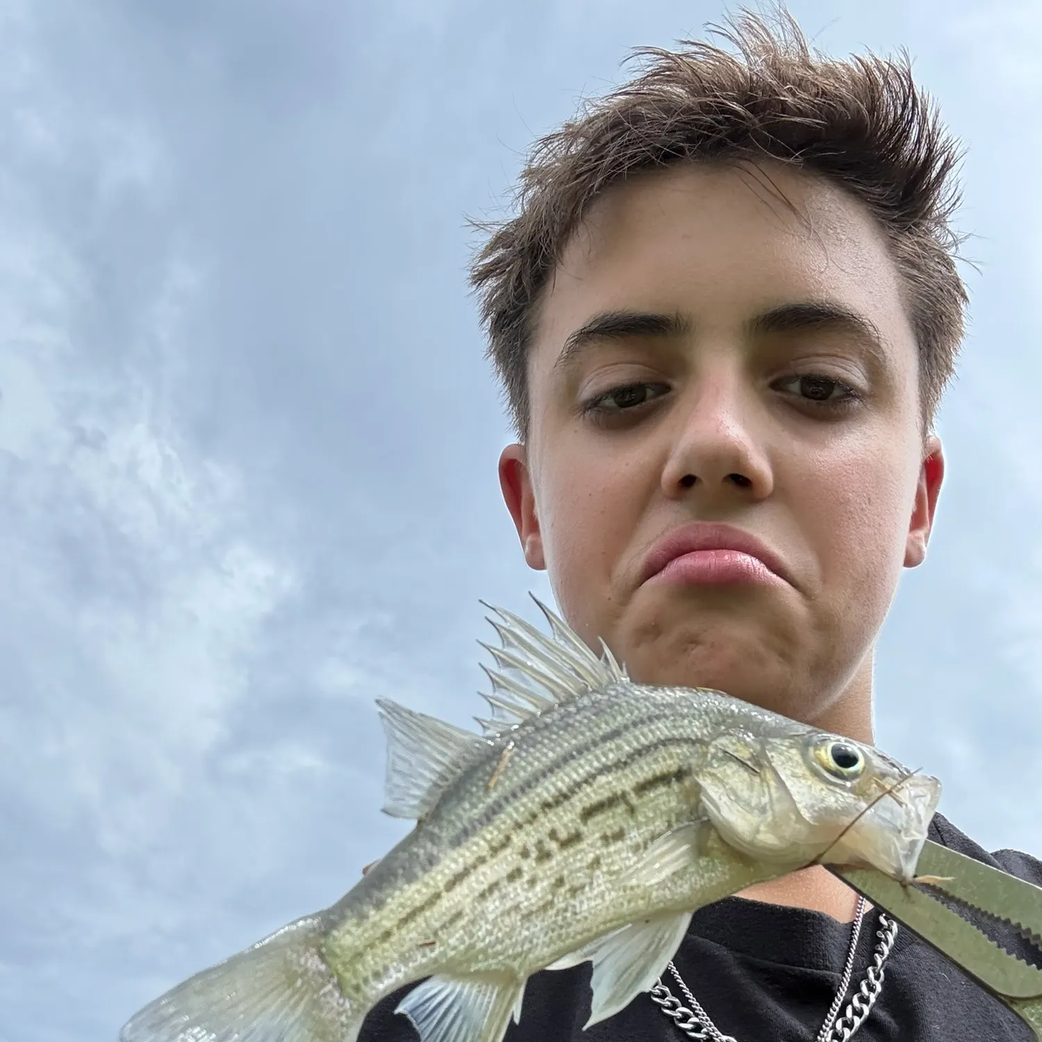 Yellow bass caught on Fishbrain