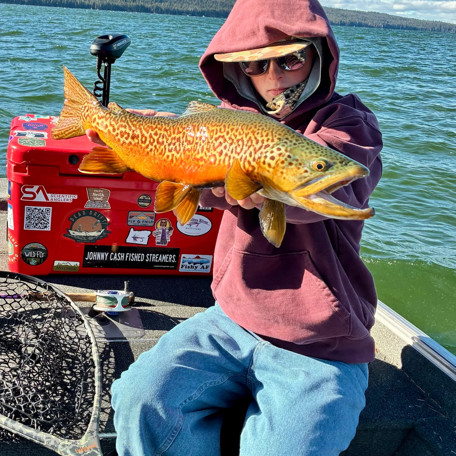 Tiger trout caught on Fishbrain