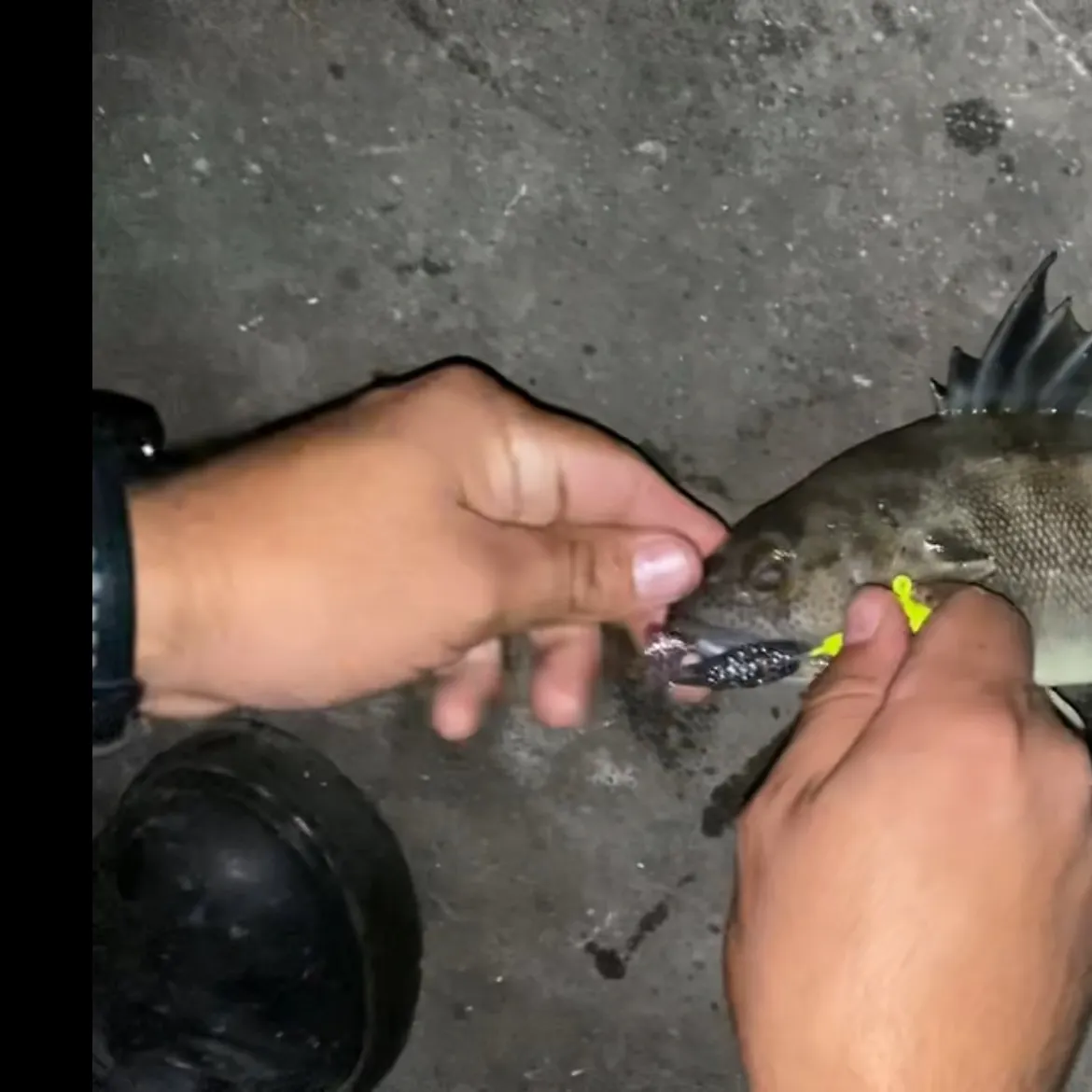 catch