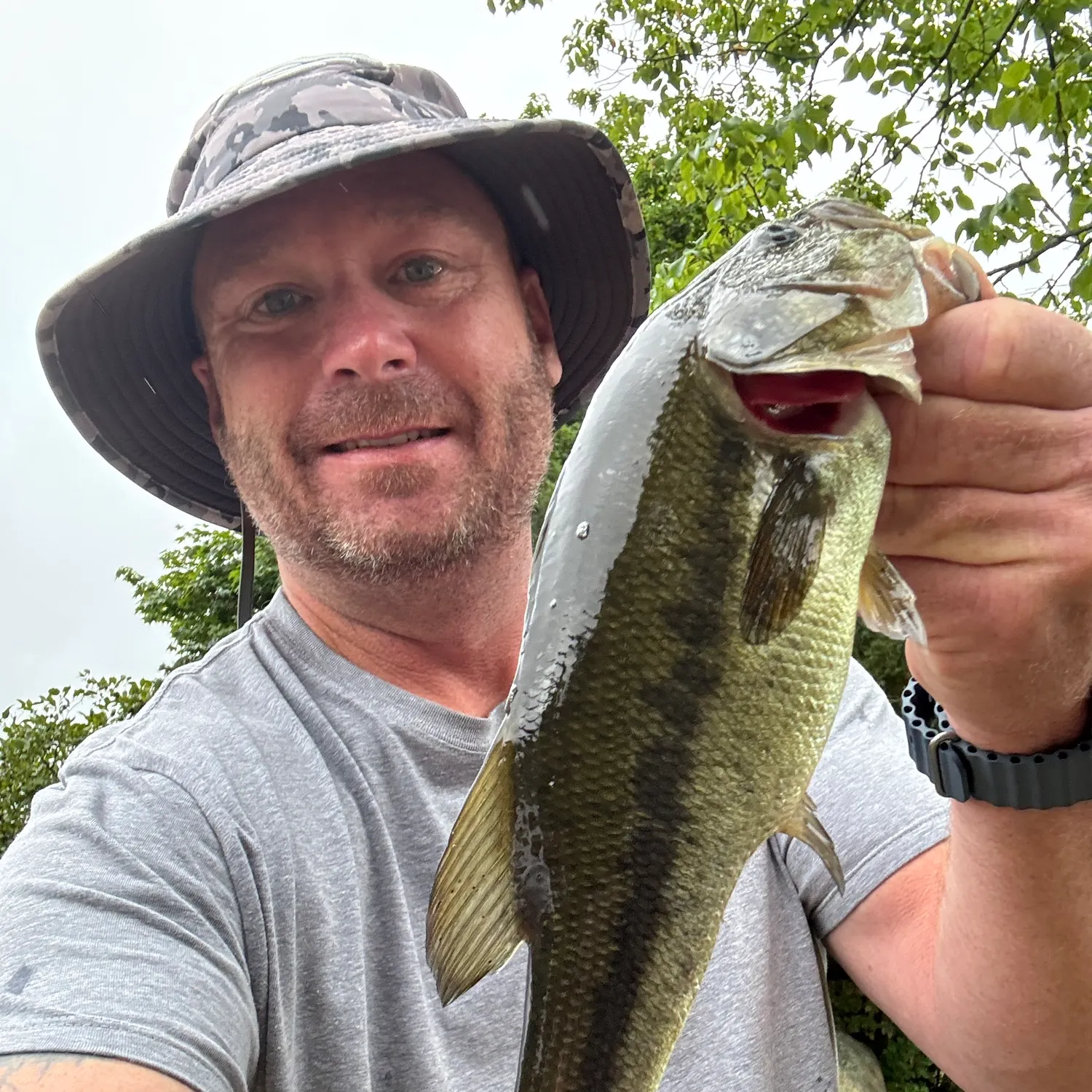 Largemouth bass caught on Fishbrain