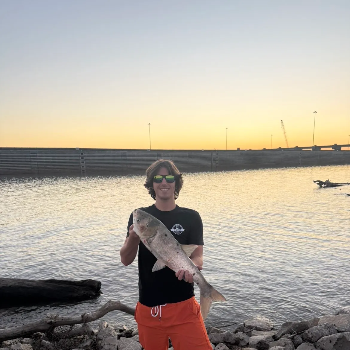 The most recent Silver carp catches on Fishbrain