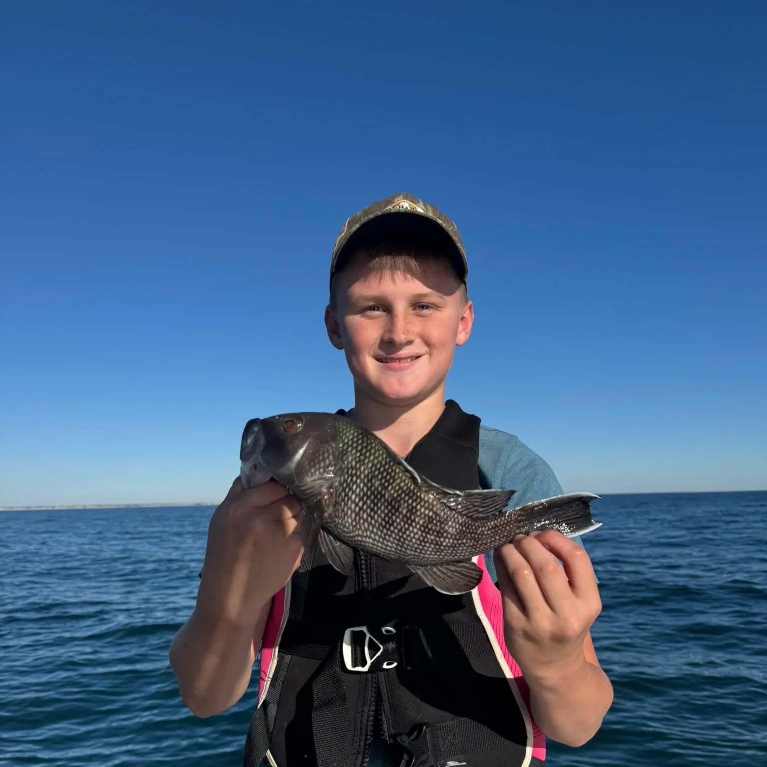 The most recent Black sea bass catches on Fishbrain