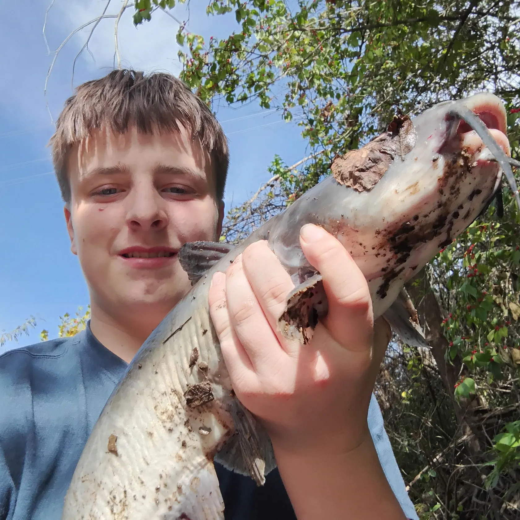 Blue catfish caught on Fishbrain