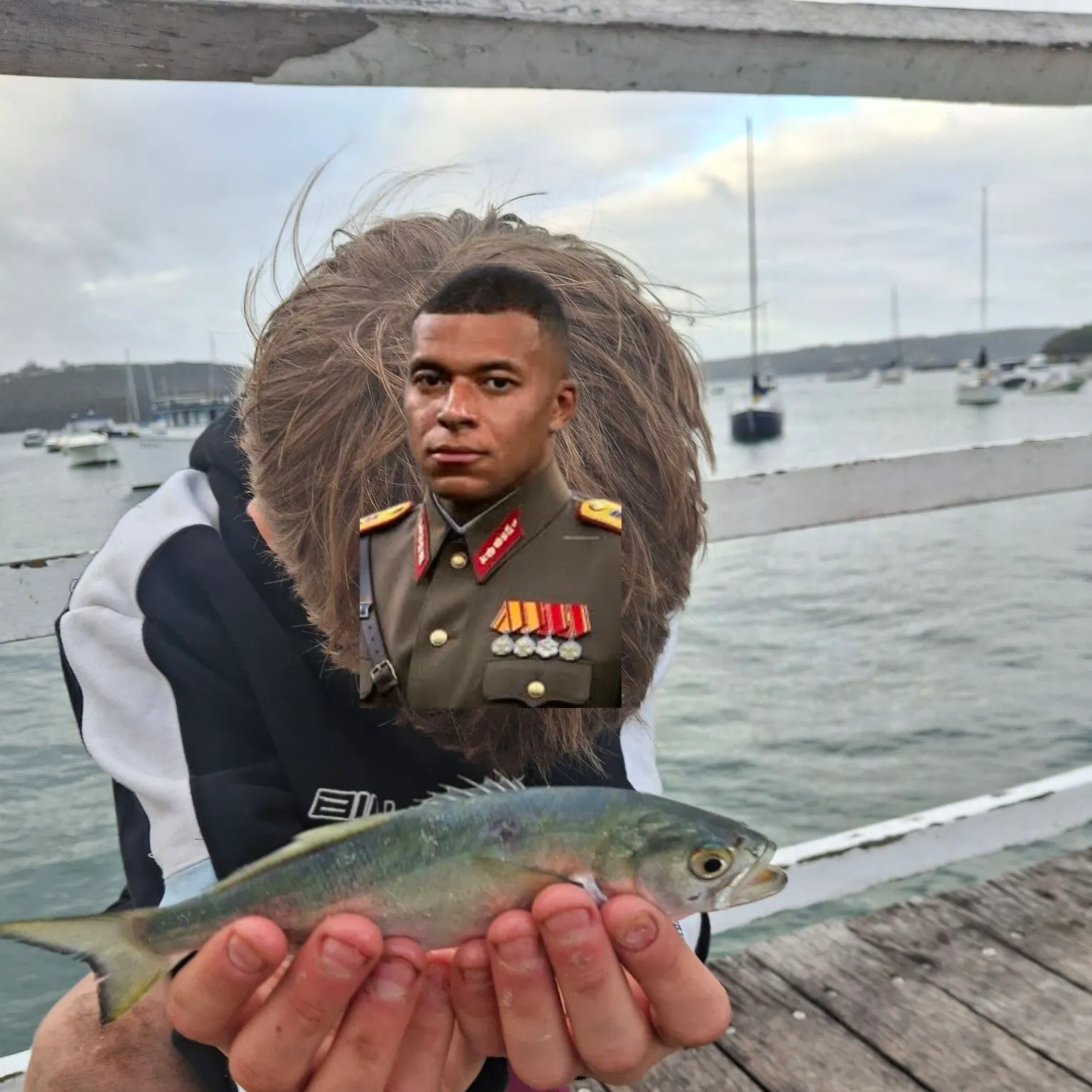 The most recent Bluefish catches on Fishbrain